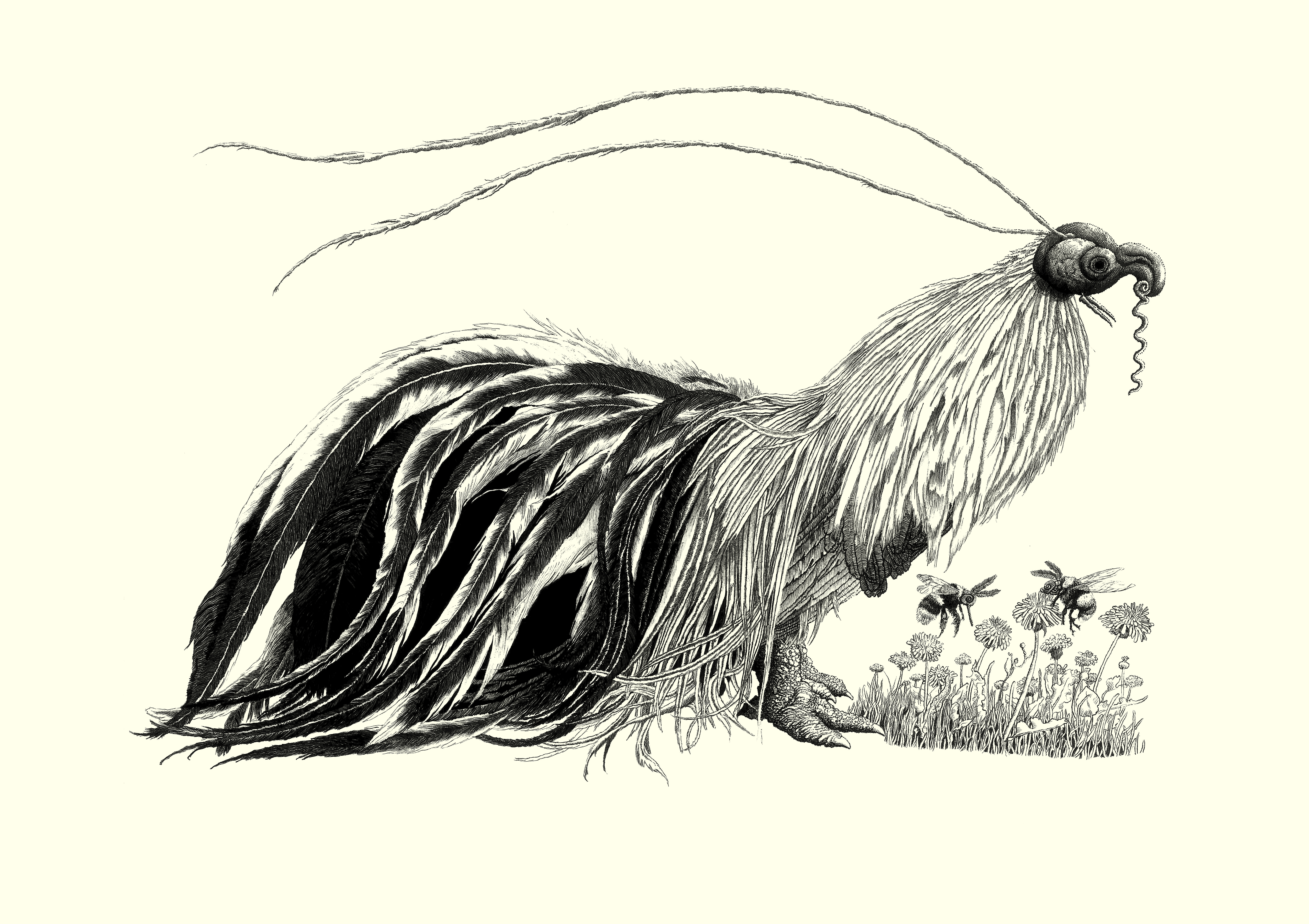 Jack Higham | Fine Art 2