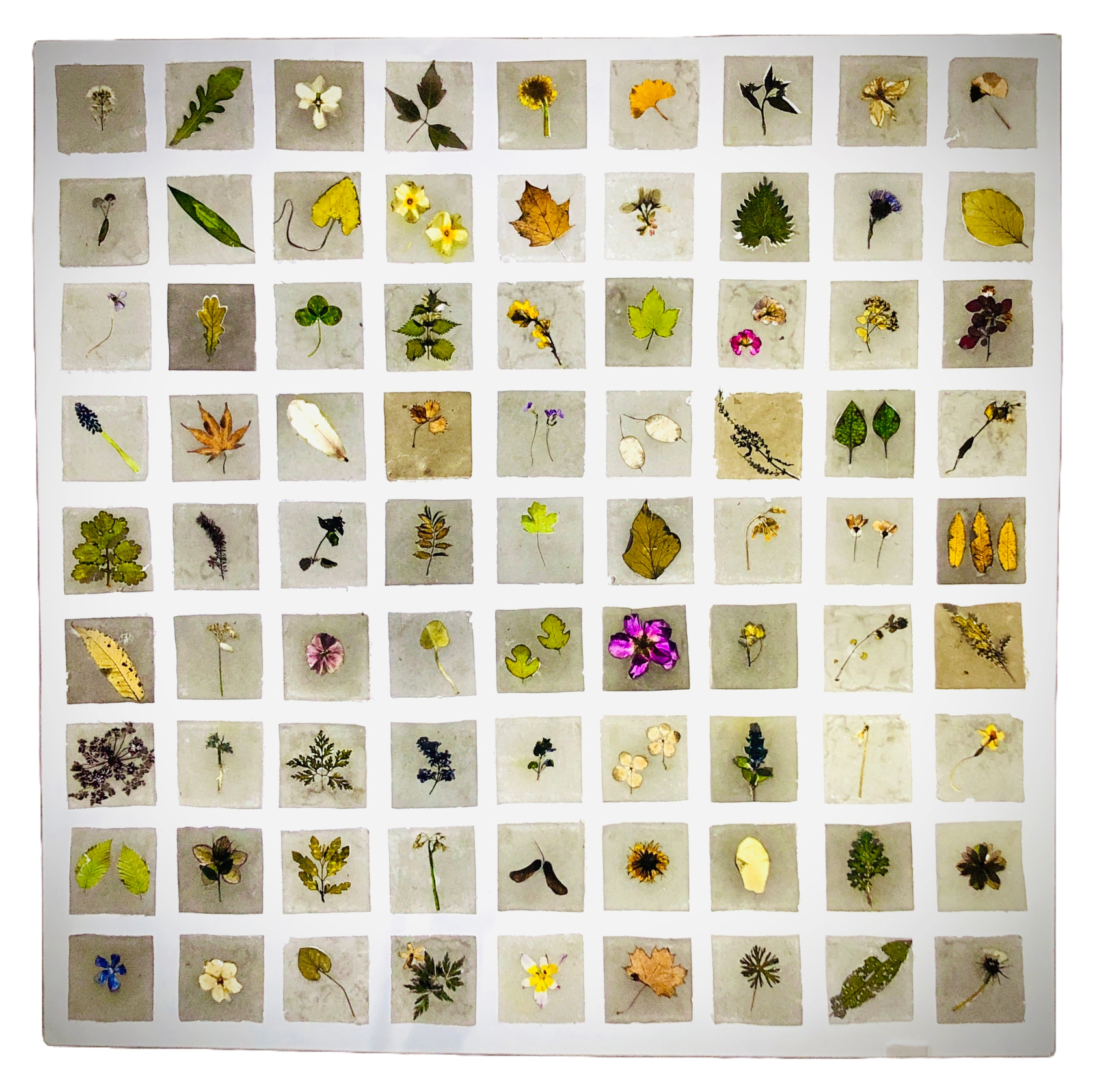 Sophie Taschner-Baldwin | Fine Art 5