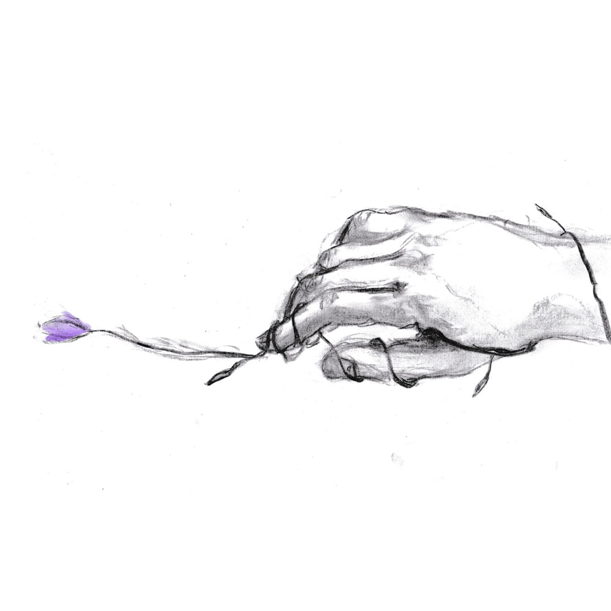 Livvy Seabrook-Wilkins | Animation