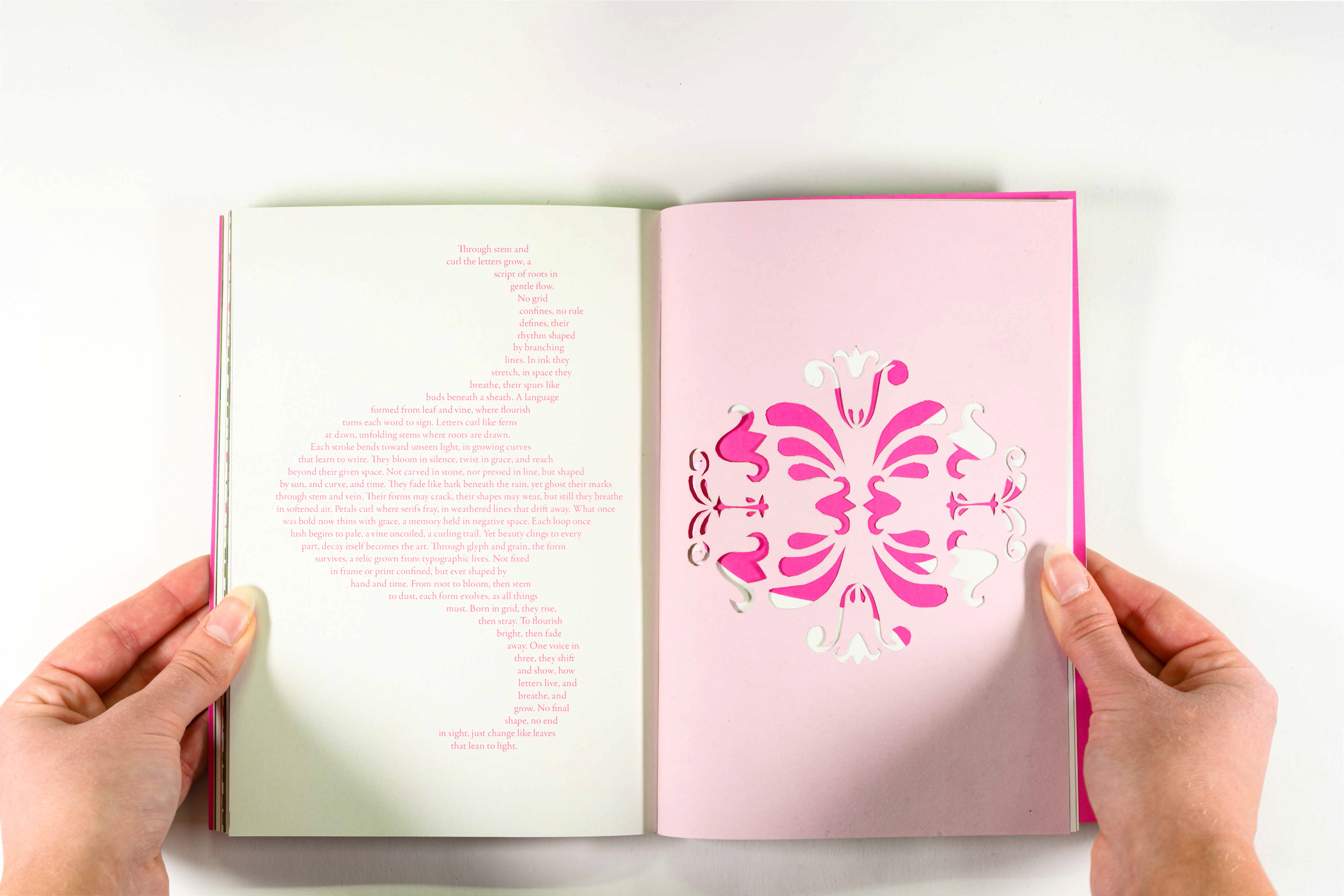 Saffron Butt | Graphic Design 6