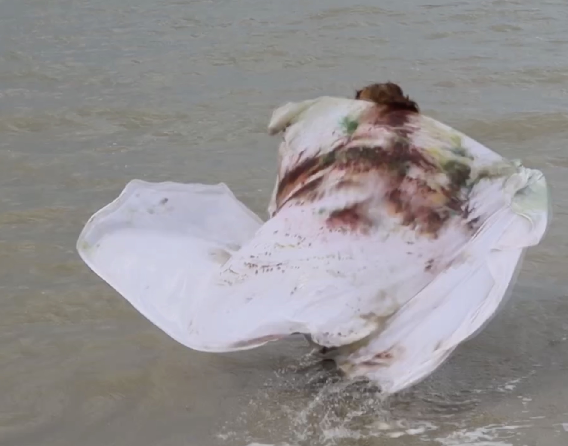 Saint Scott-Handy | Fine Art