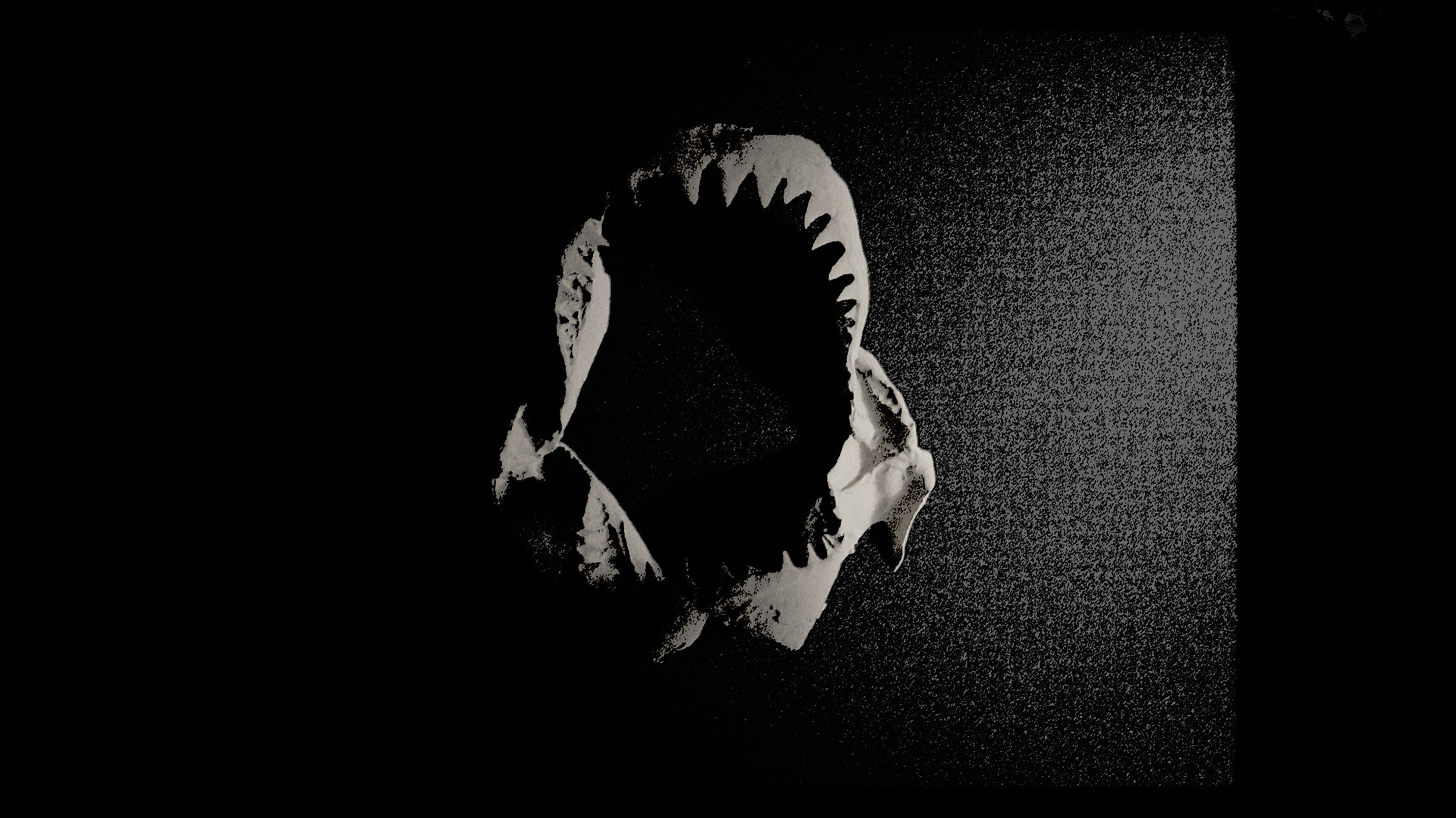 Abby Riveros | Animation 2