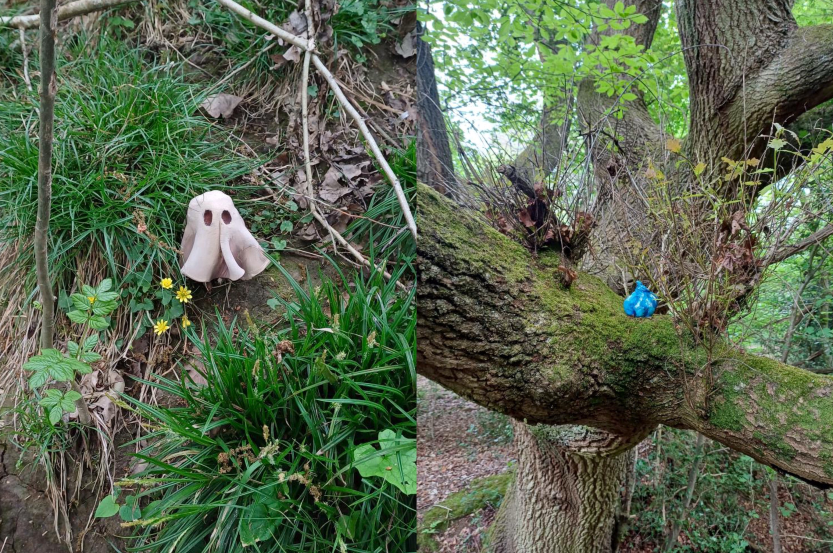 Zennor Whittaker | Illustration 1