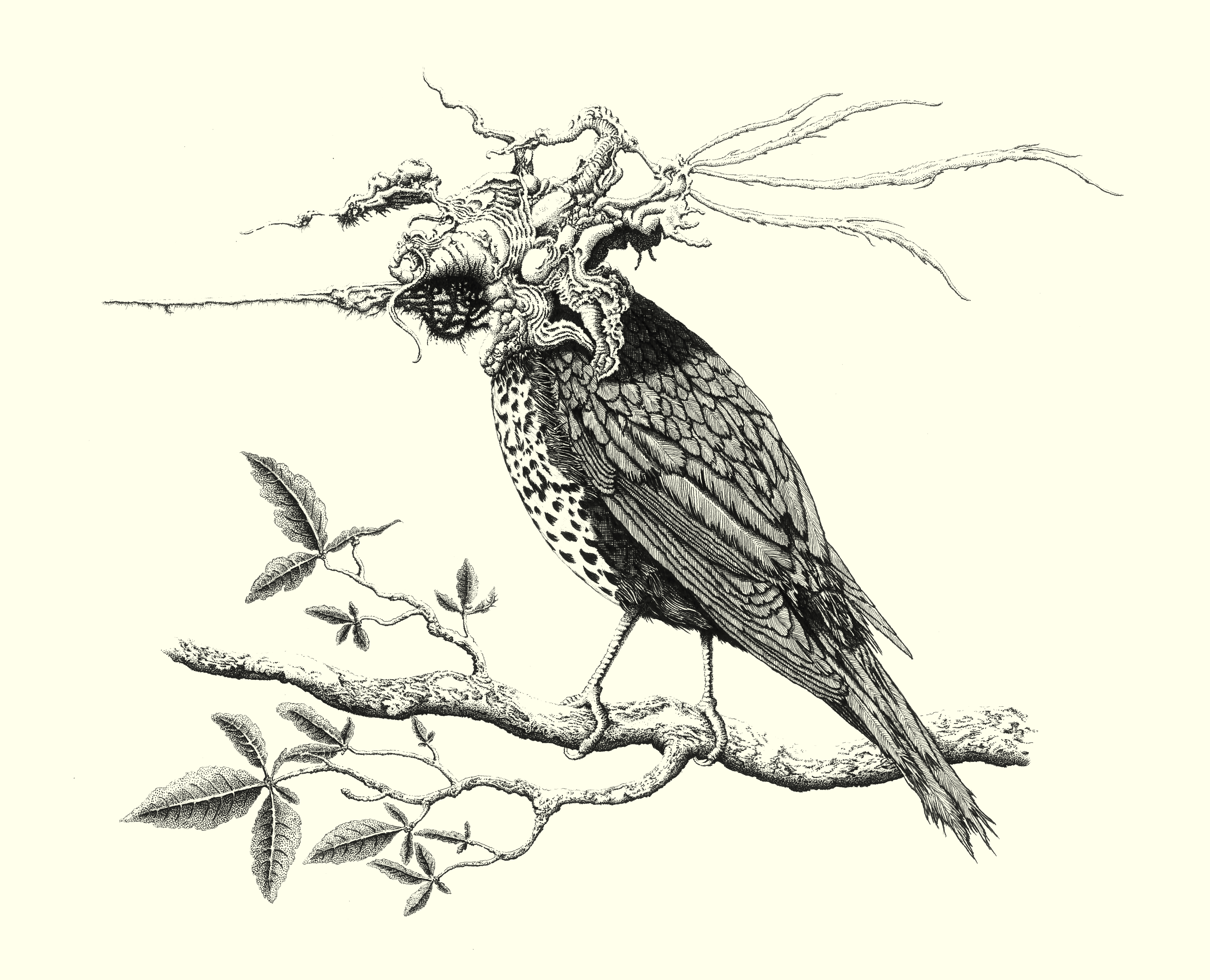 Jack Higham | Fine Art 4