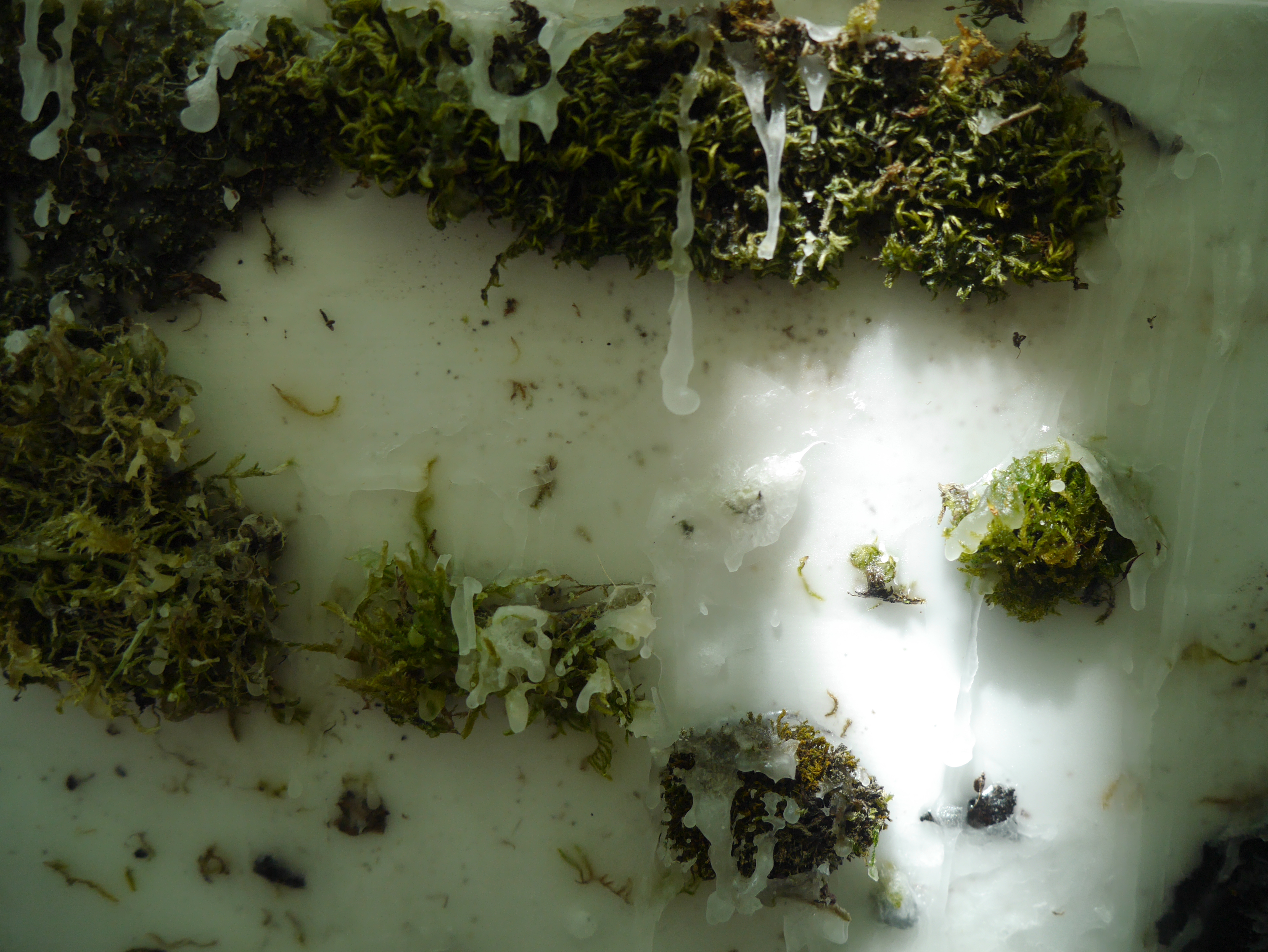 Romilly Horton | Fine Art 2