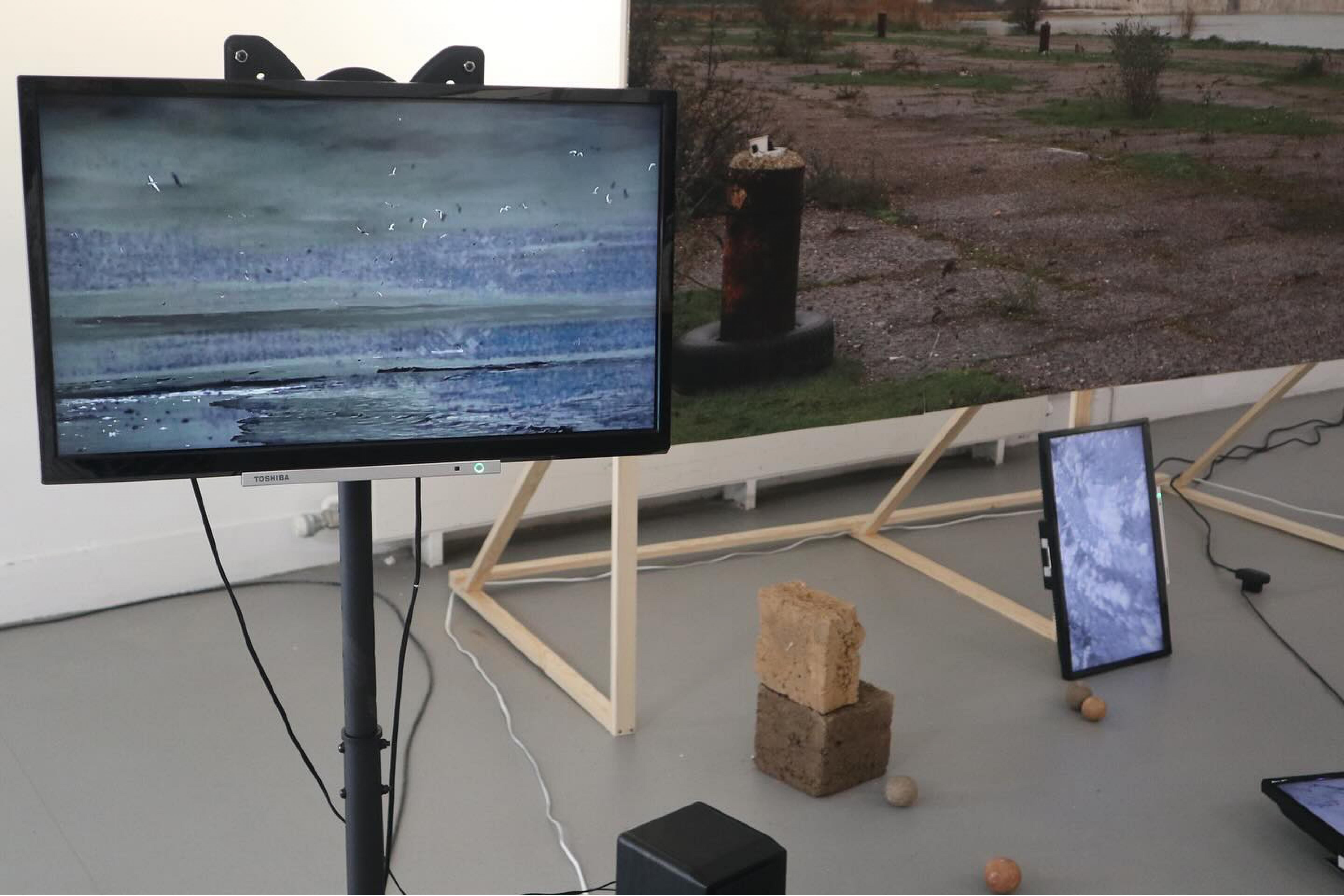 Ellis Smith | Fine Art 3