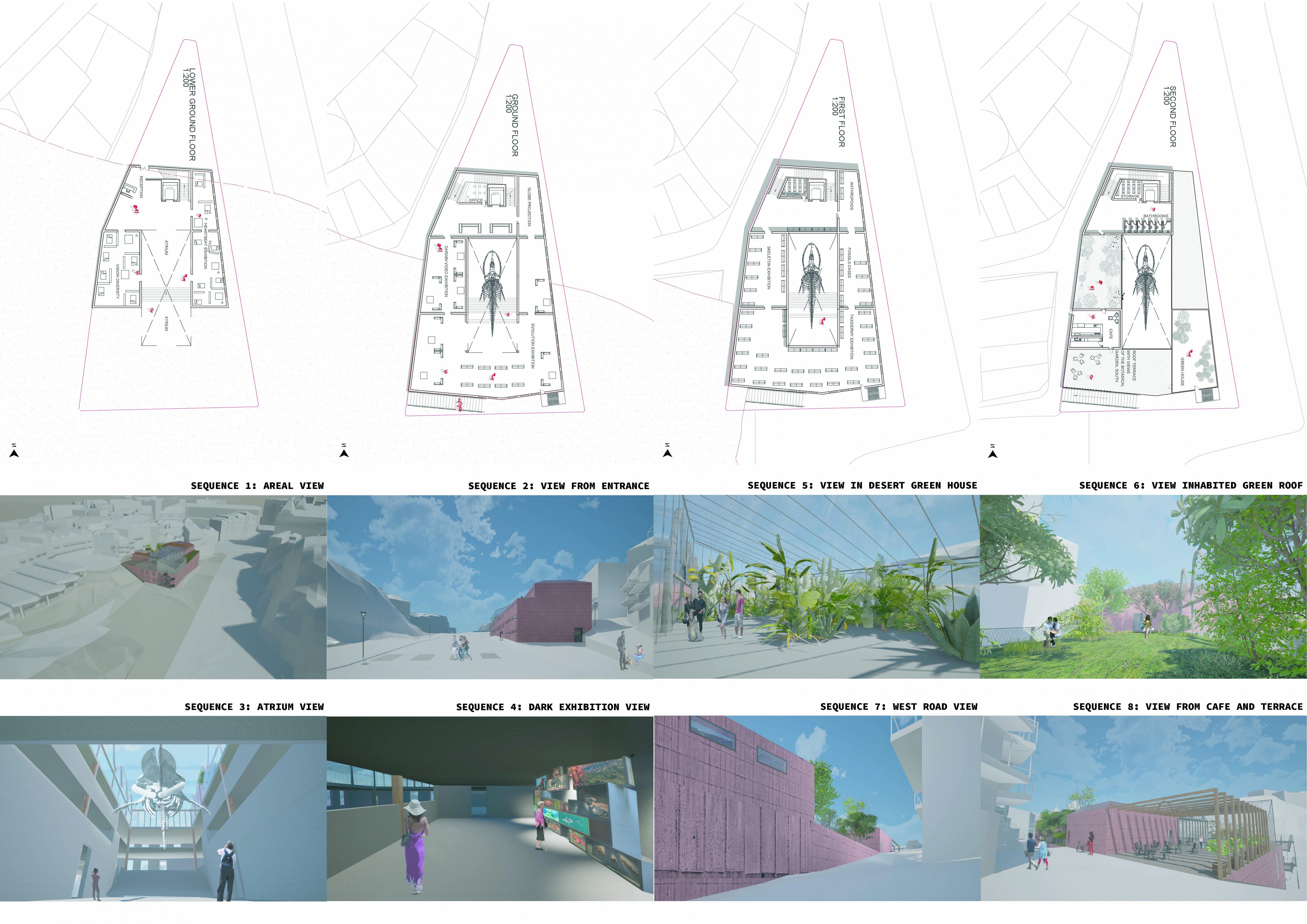 Poppy Beattie | Architecture