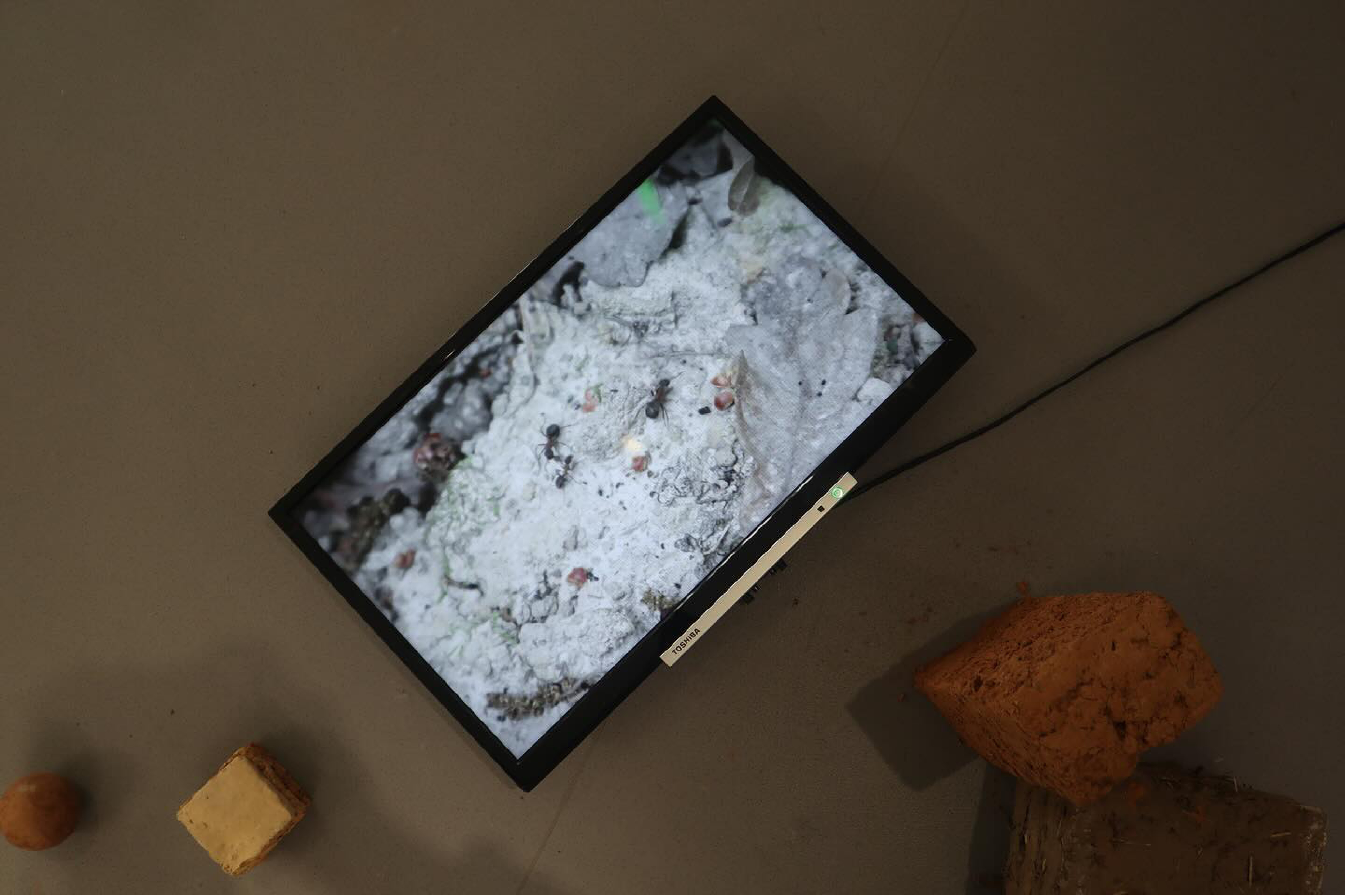 Ellis Smith | Fine Art 1