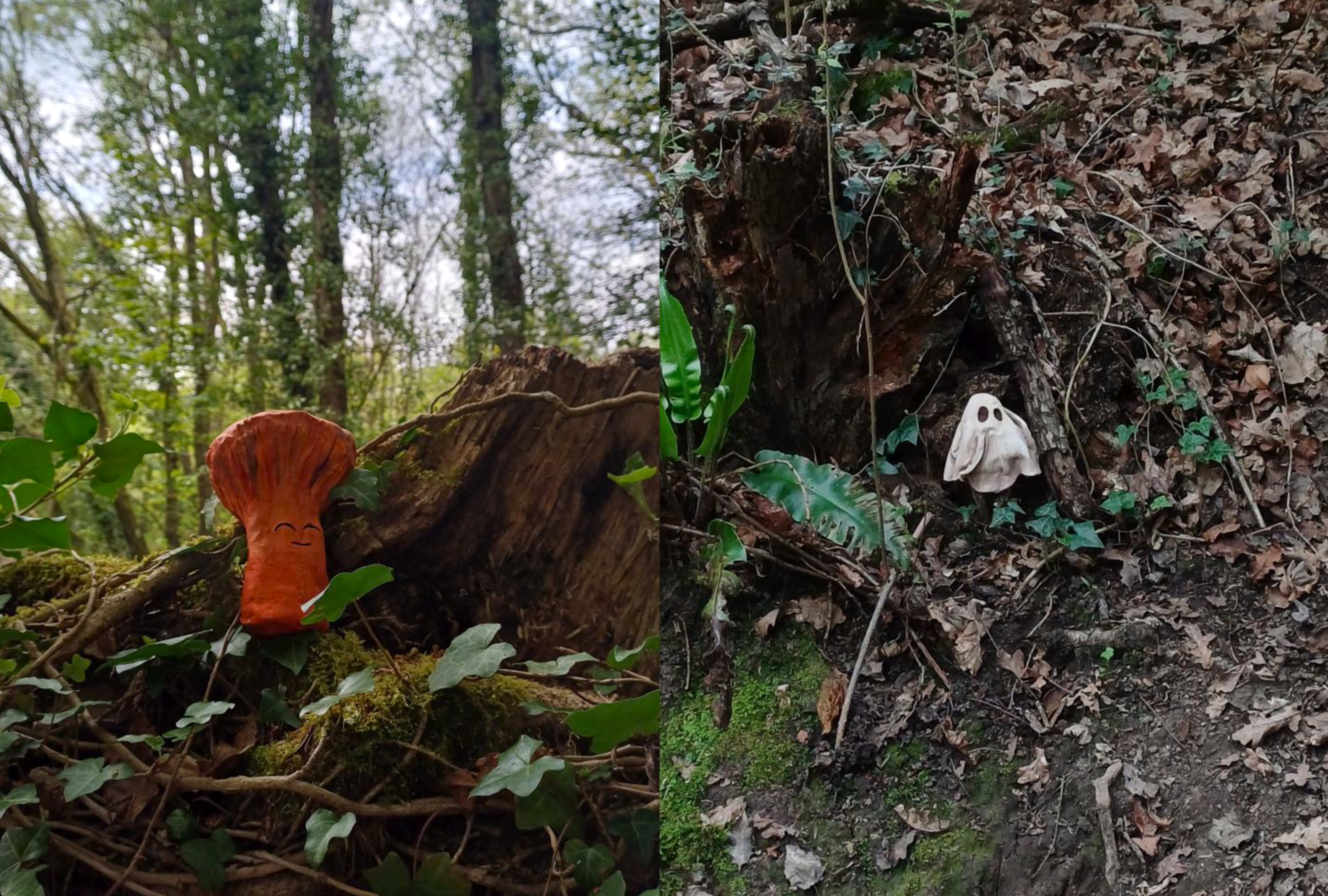 Zennor Whittaker | Illustration