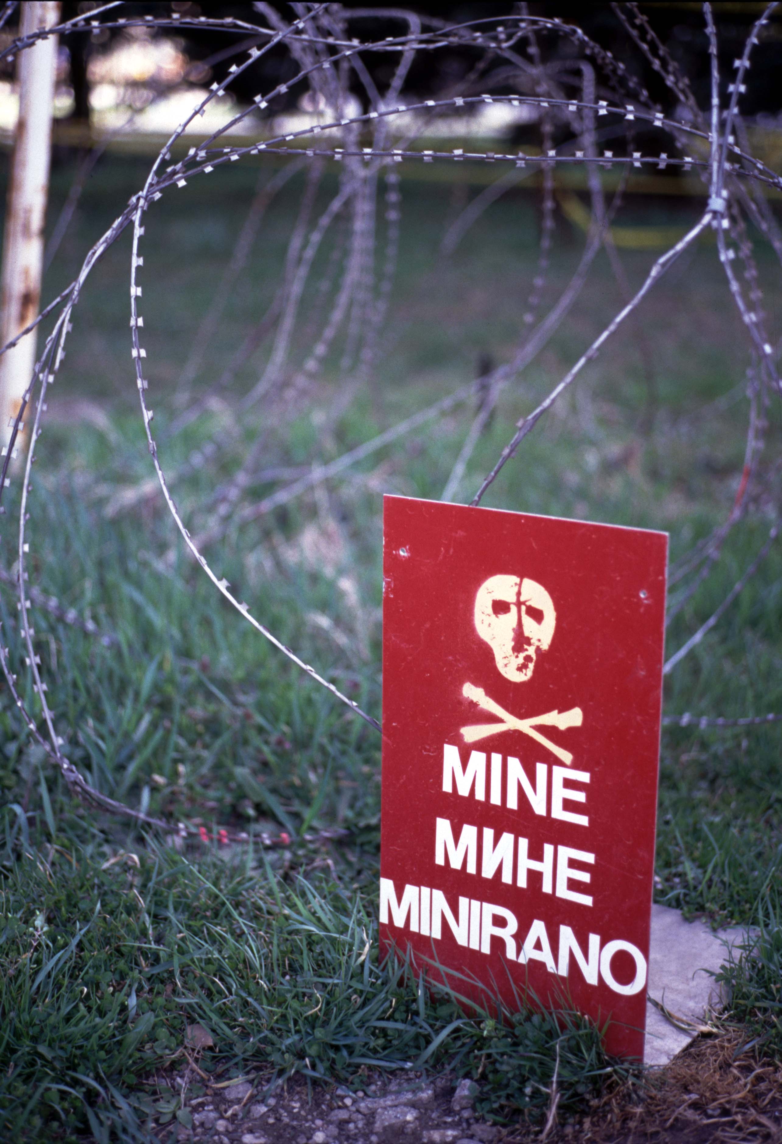 Floss Bowler | Graphic Design