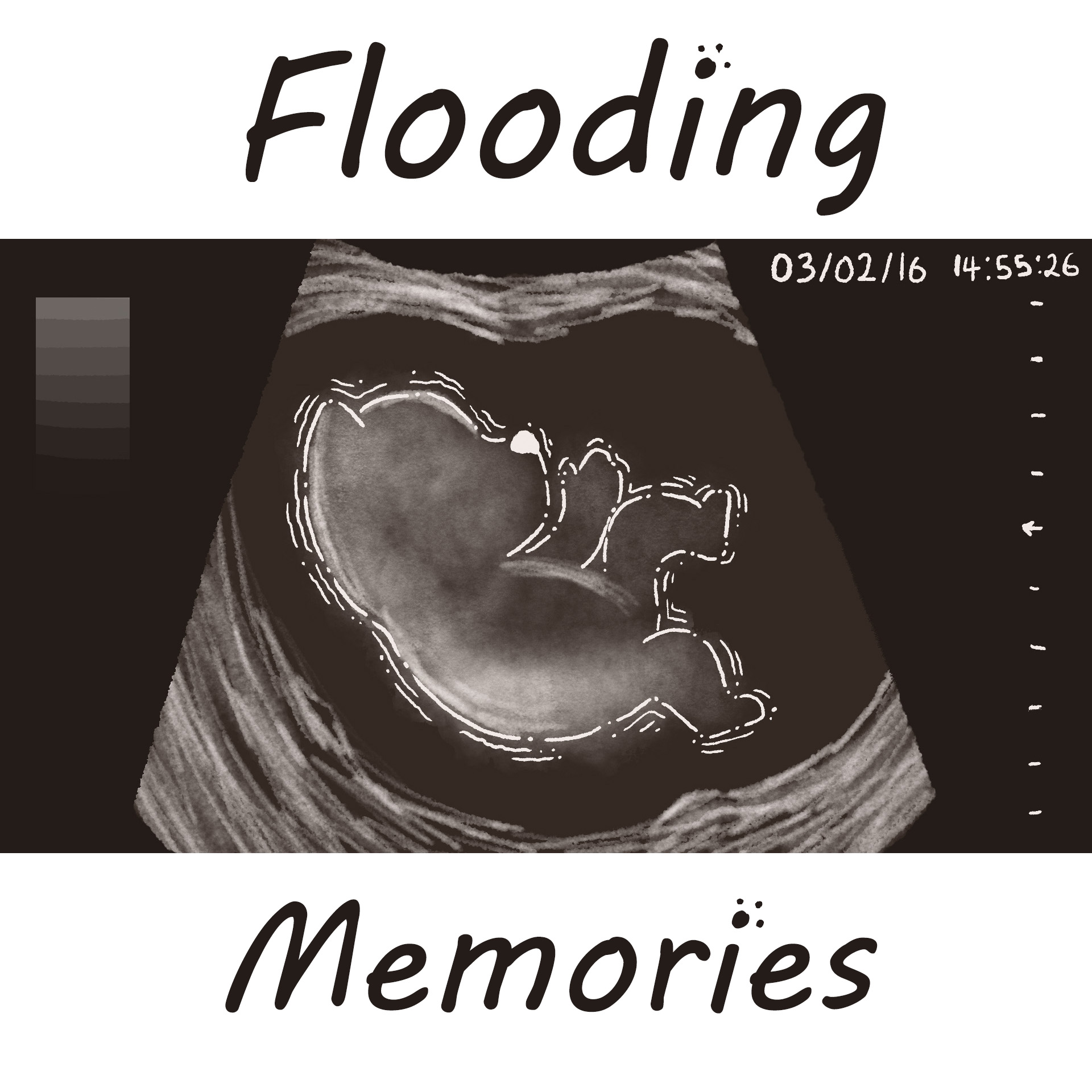 Kat Paine | Animation 5