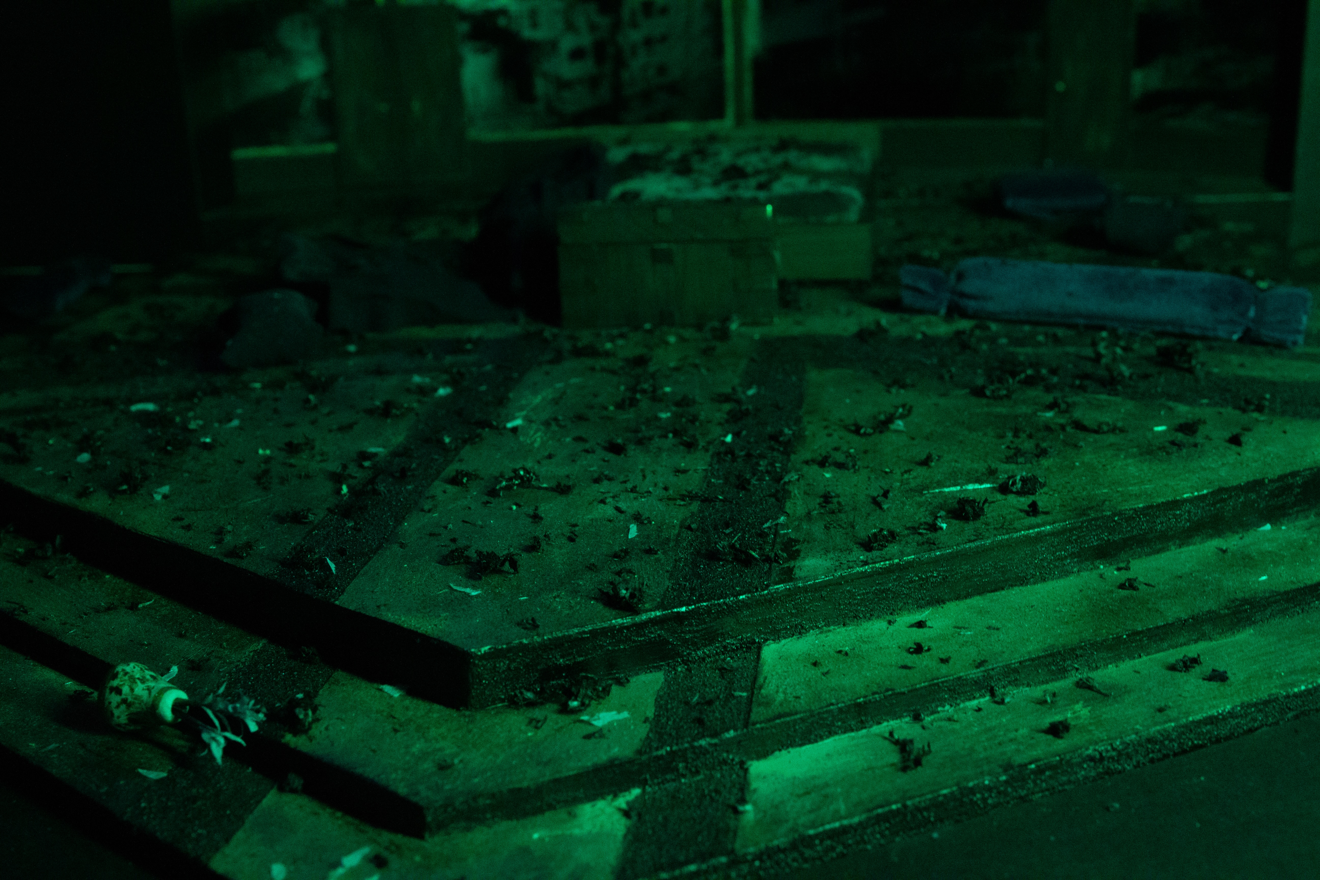 Liliana Butler | Performing Arts 1