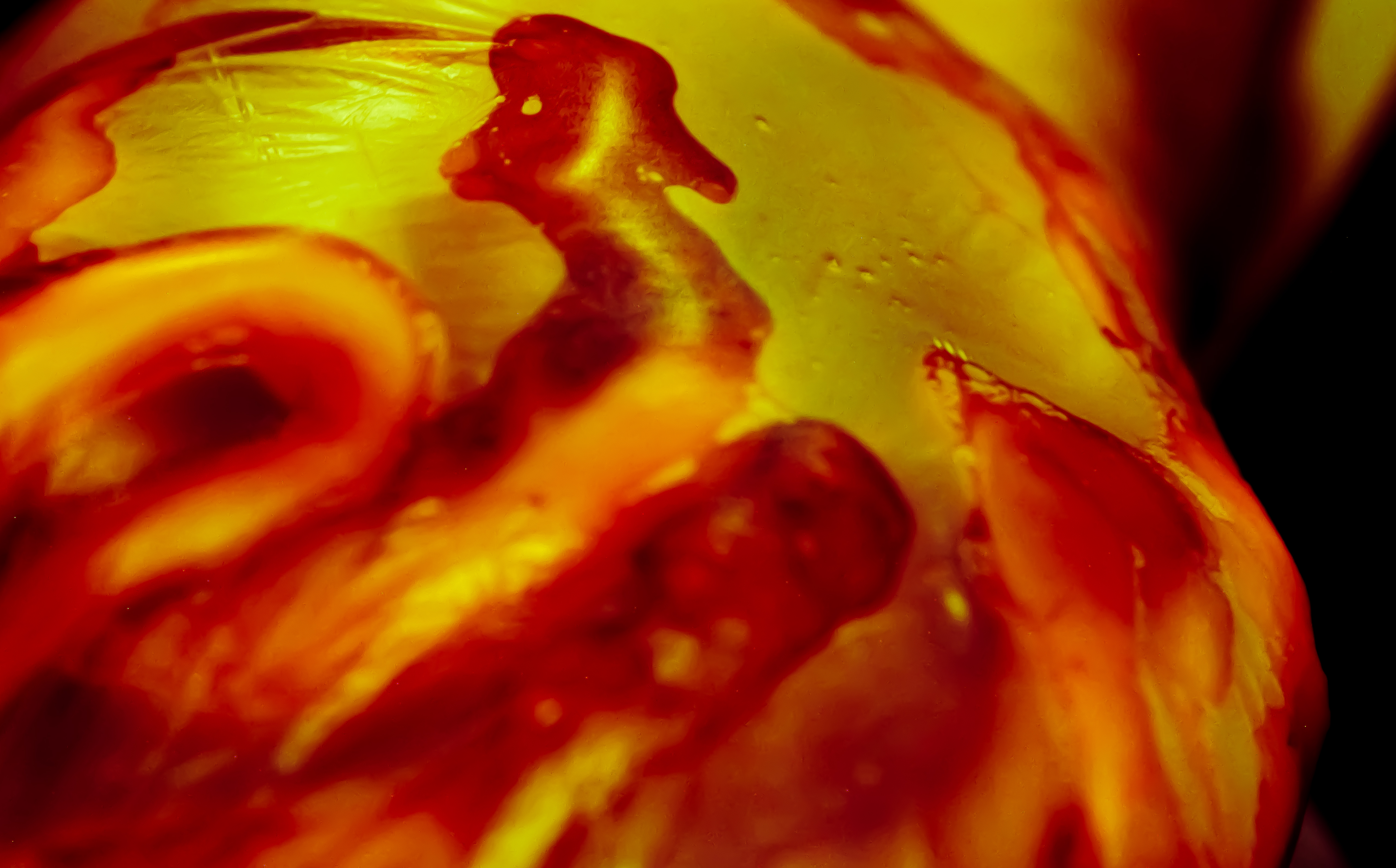 Amelia Griffiths | Fine Art