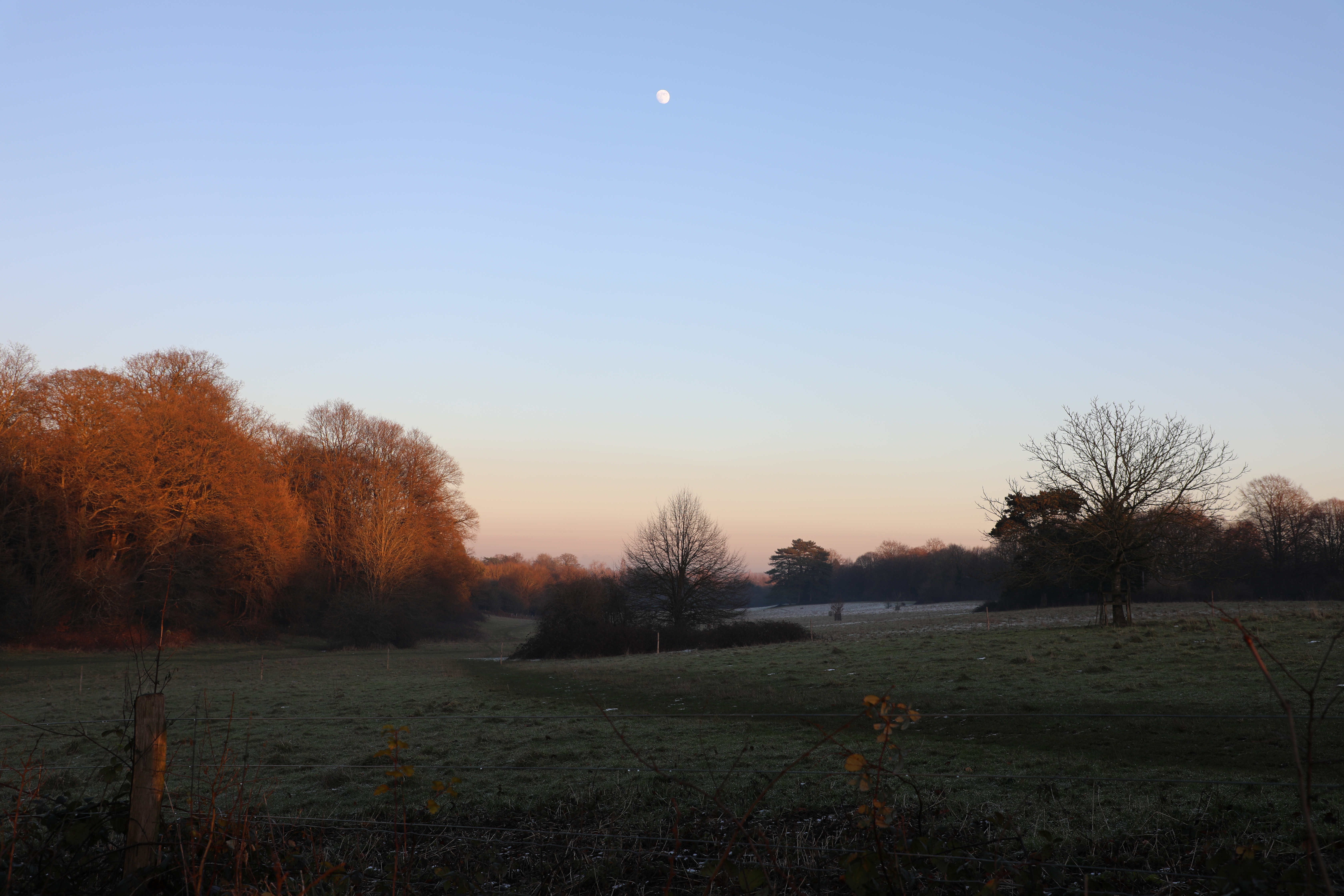 Grace Ribeiro | Photography 1