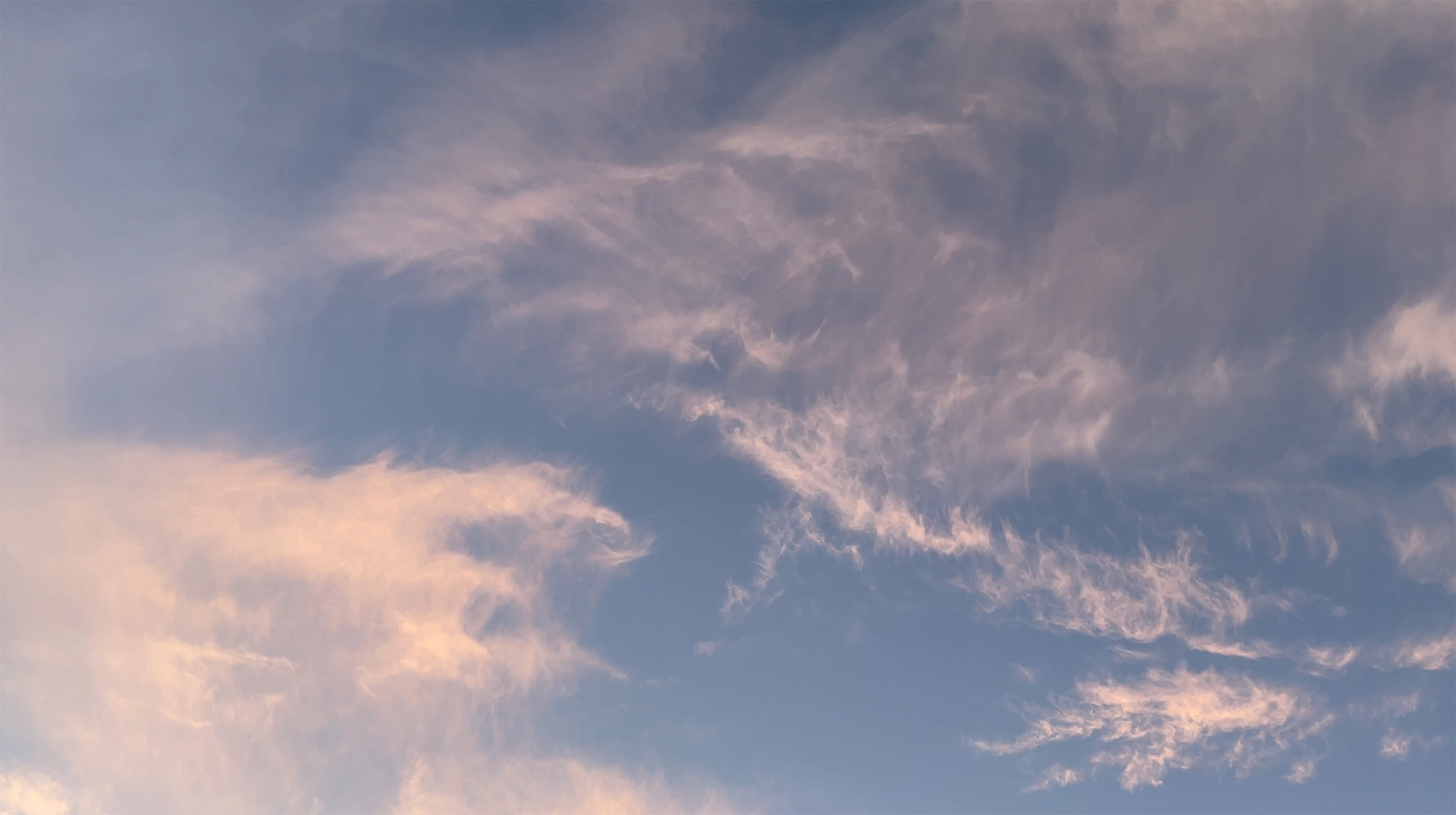 Grace Ribeiro | Photography