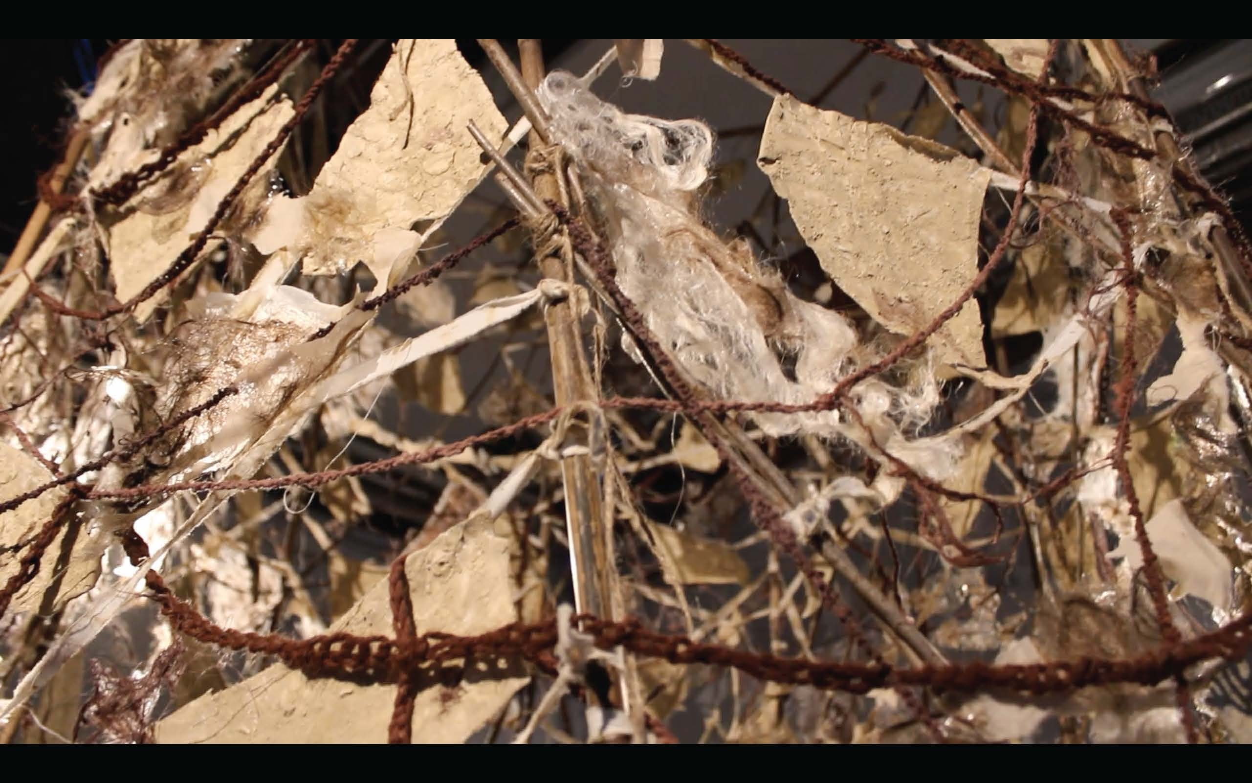 Amelia Gunn-Dalby | Fine Art