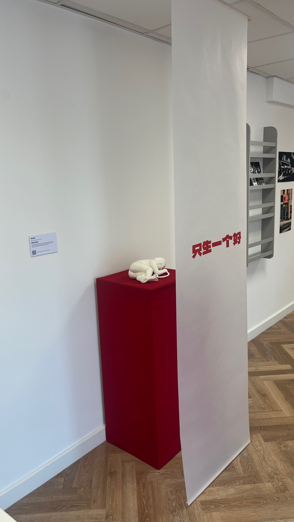 Yixin Ding | Graphic Design 2