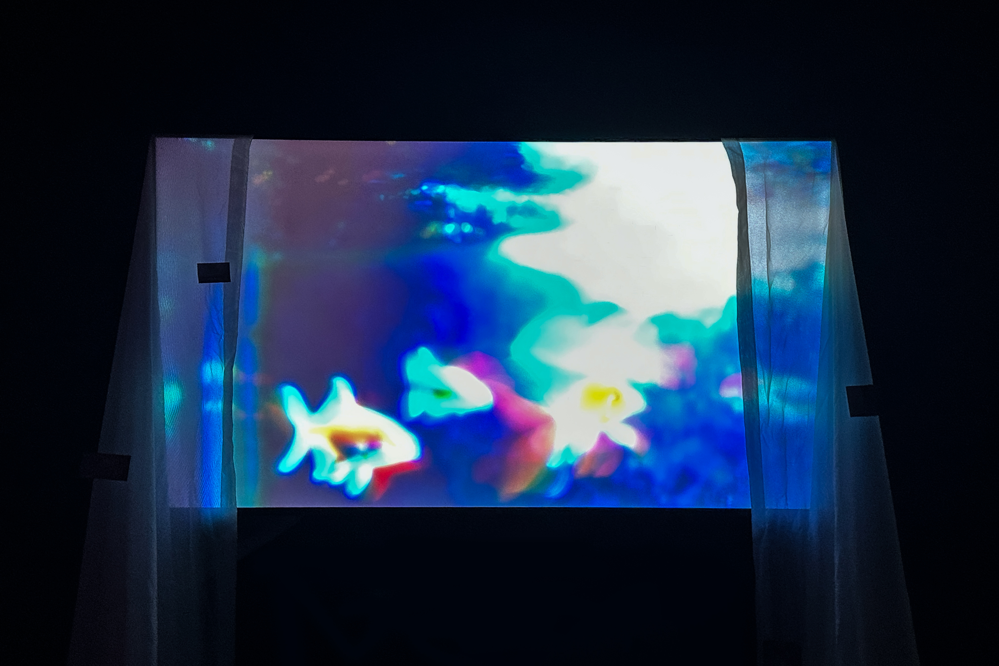 Muyang Li | ICI China