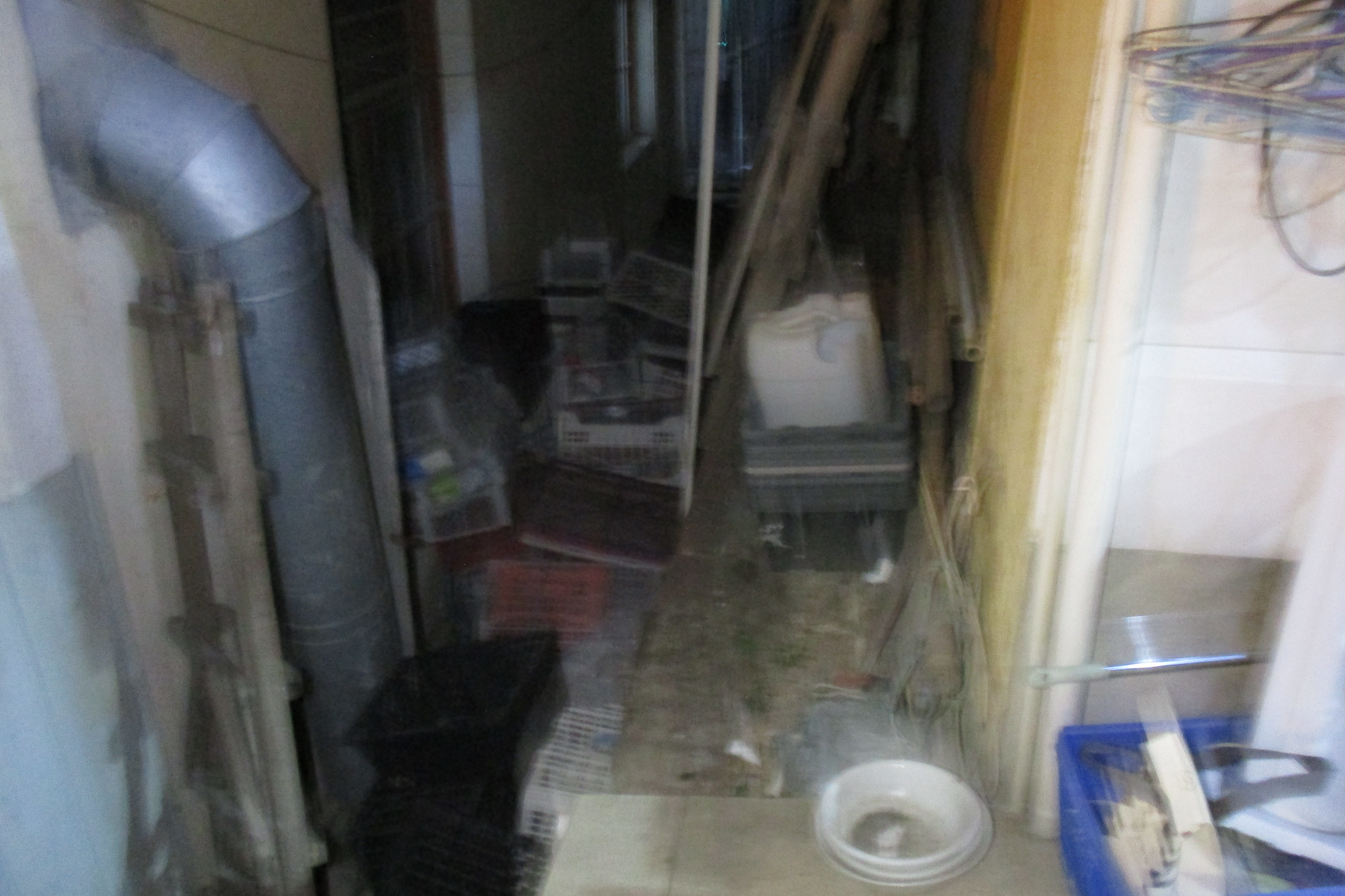 Muyang Li | ICI China 2