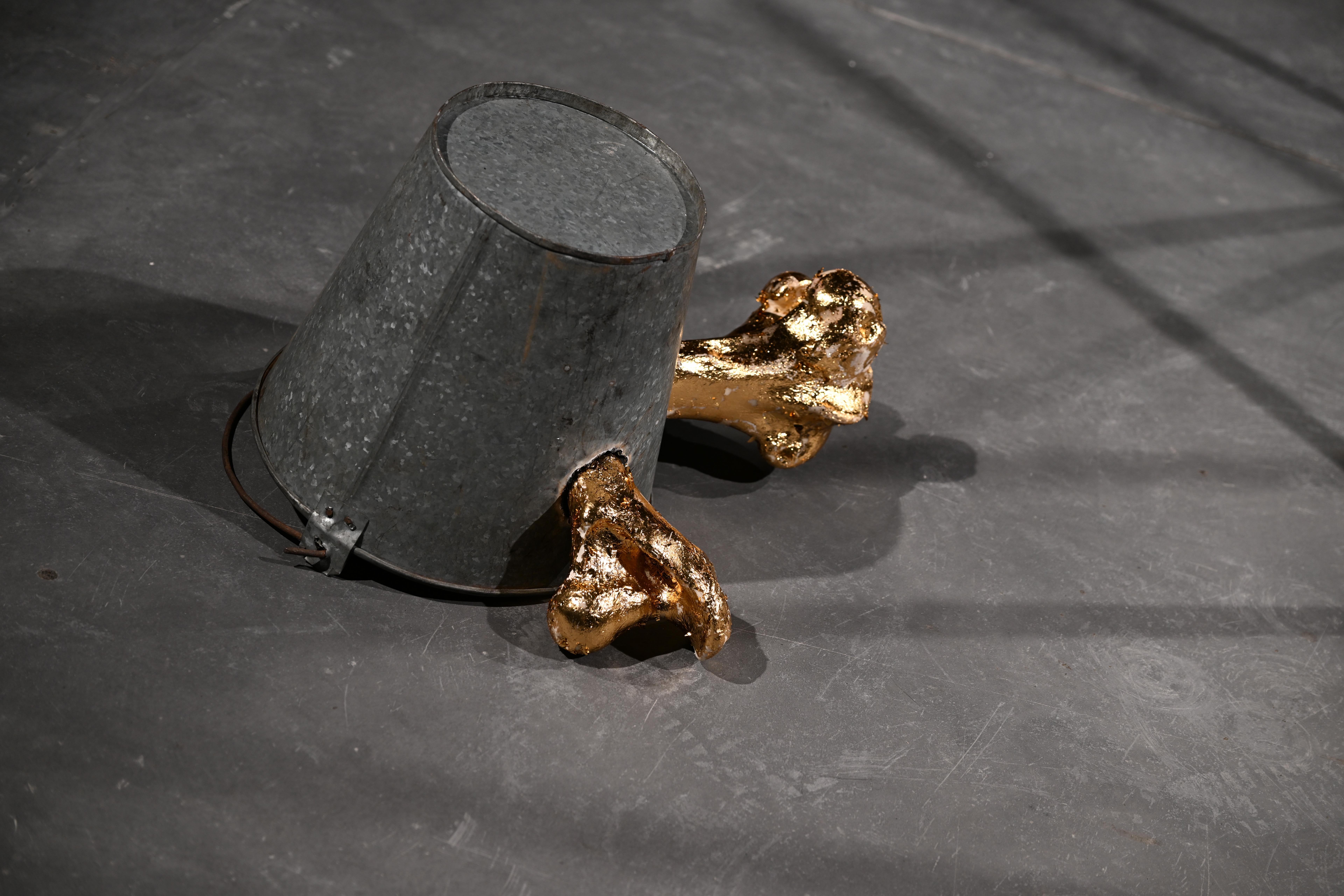 Shimeng Liu | ICI China 1