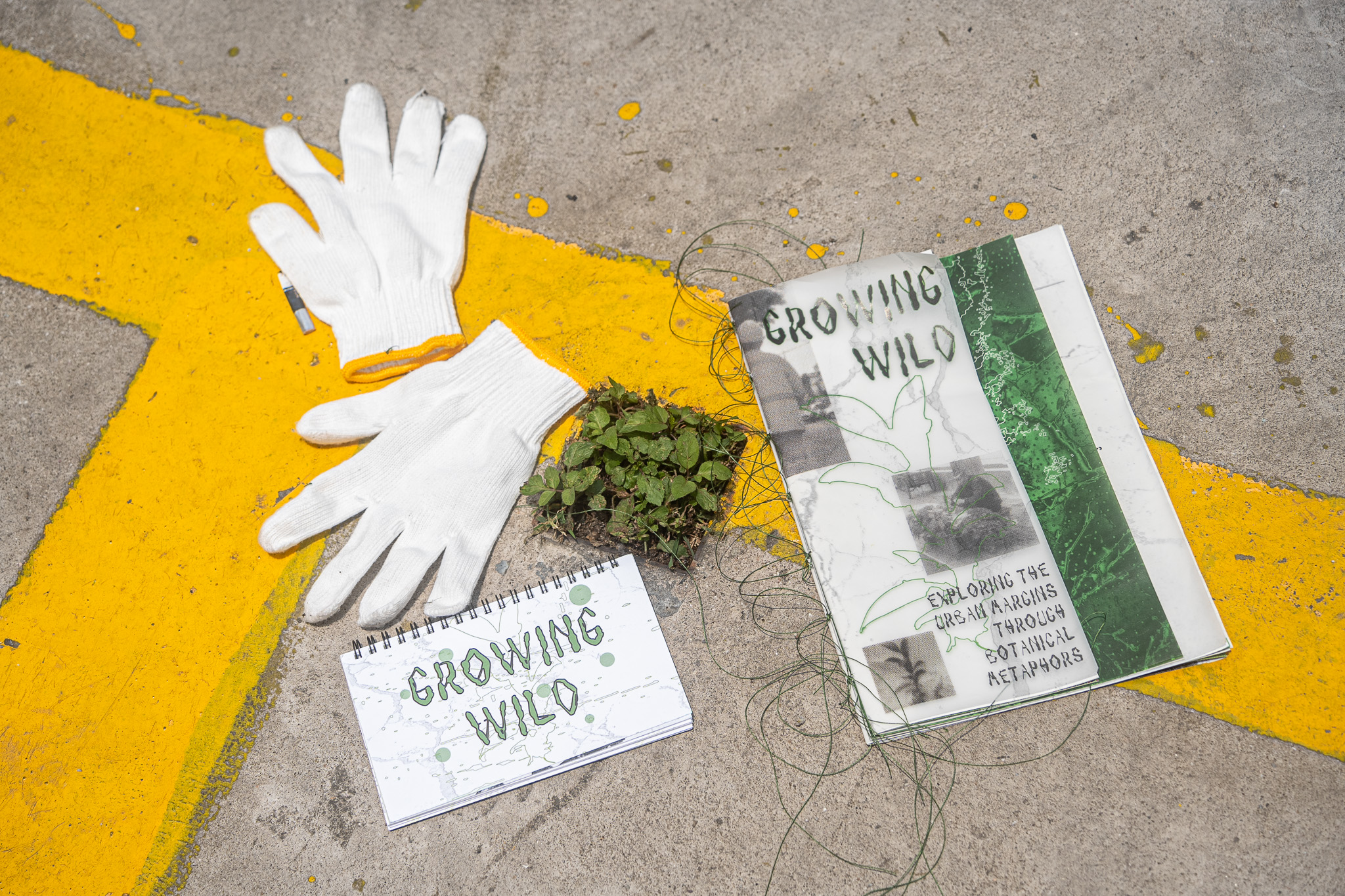 Chen Liumeng | Graphic Design