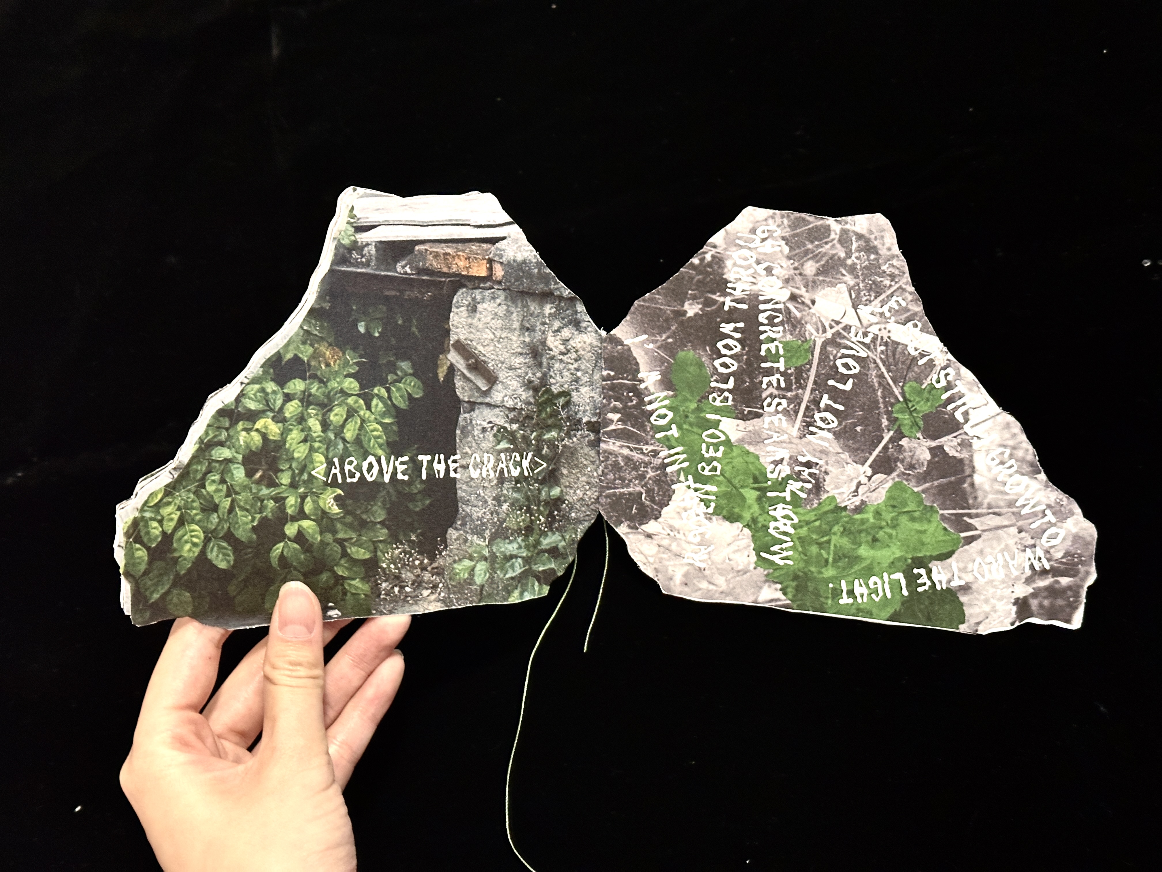 Chen Liumeng | Graphic Design 3