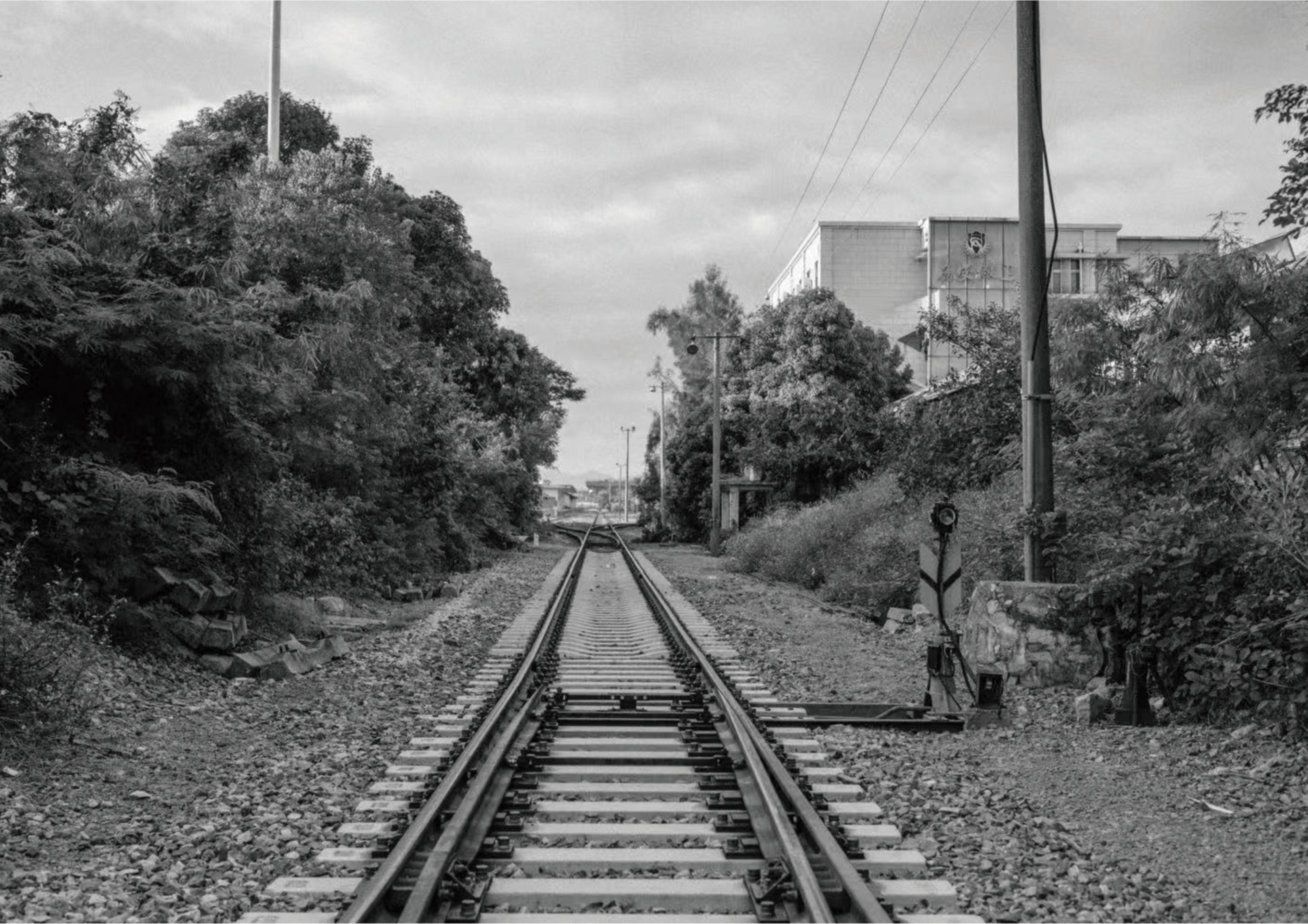 Chenrui Yang | ICI China