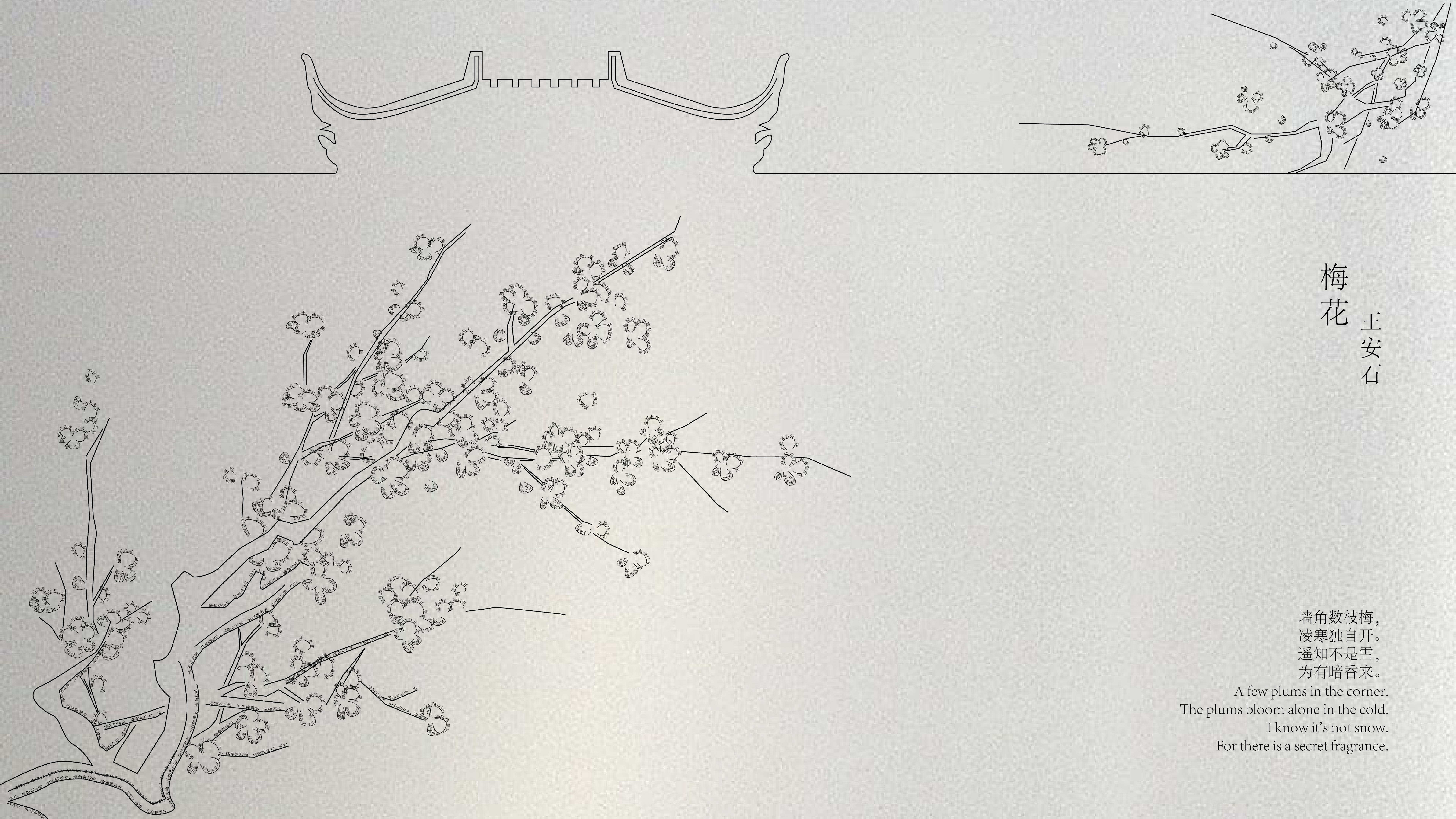 Xiaorong Zhang | Graphic Design