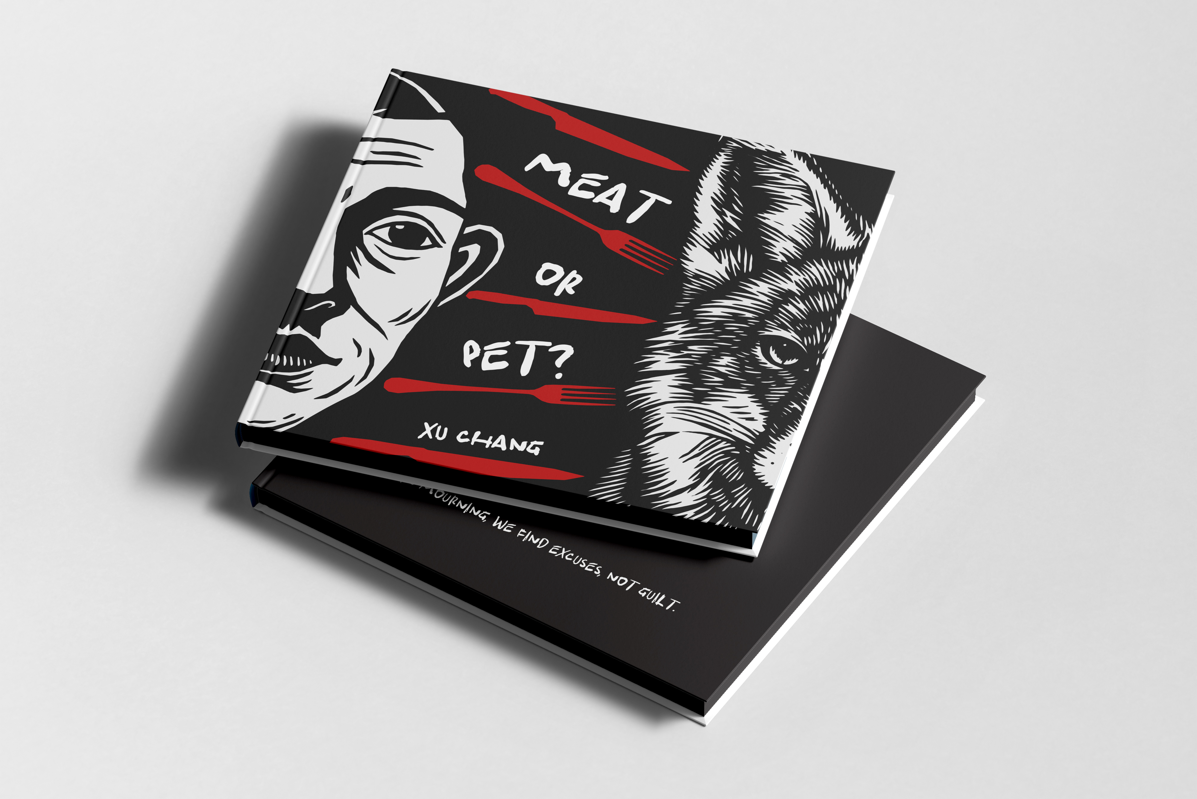 Chang Xu | Illustration 4