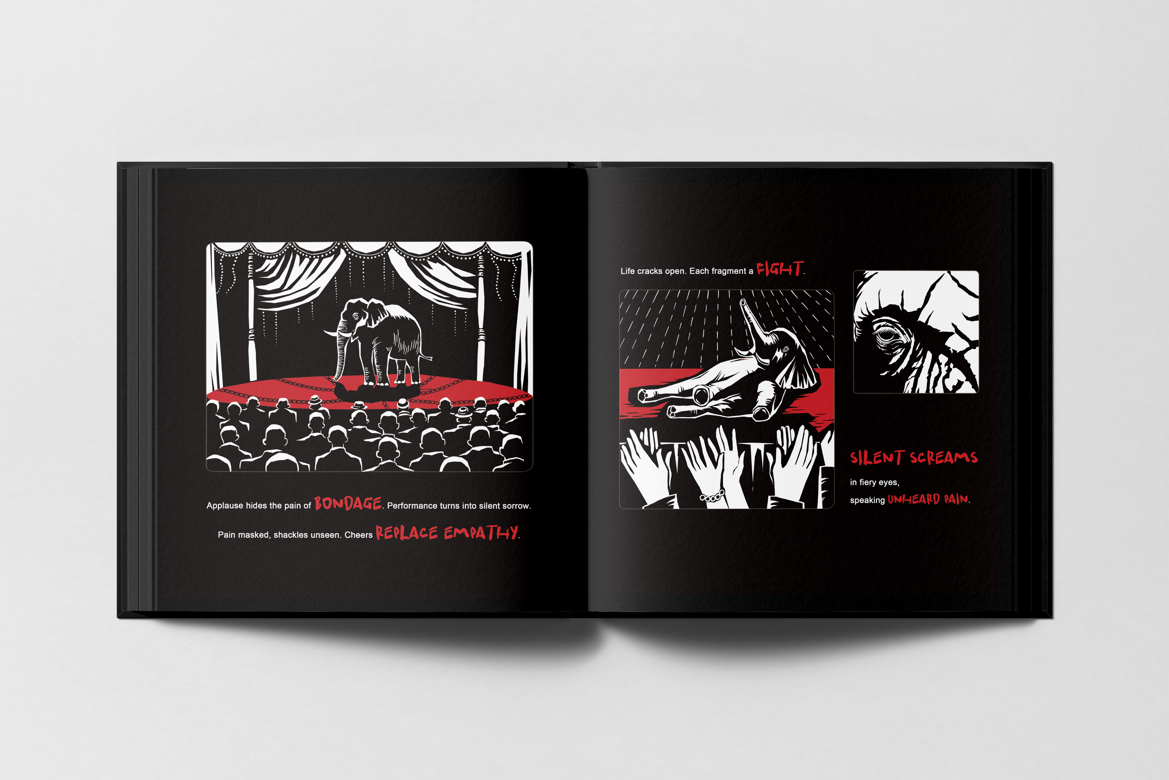 Chang Xu | Illustration 3