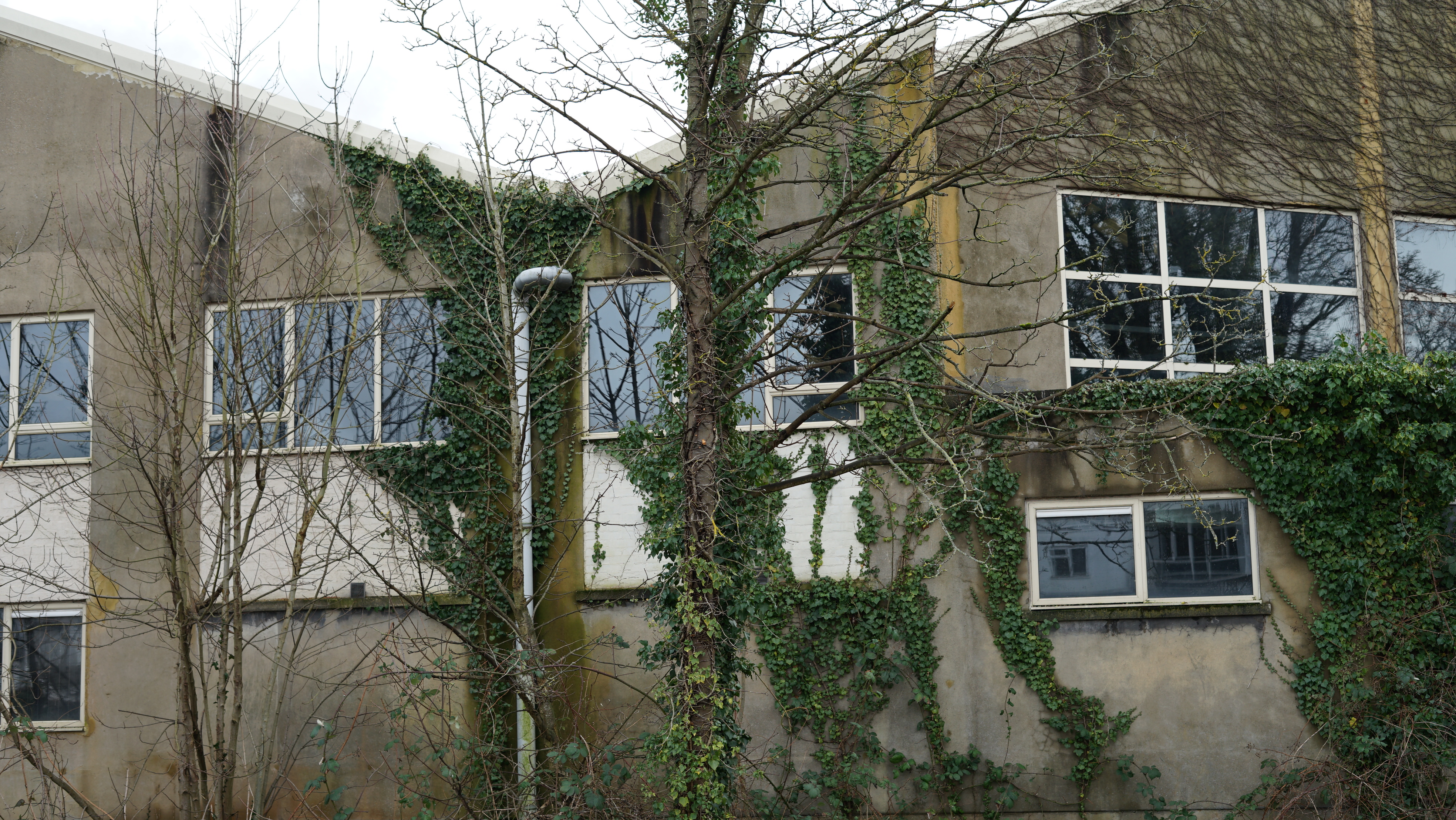 Rahil Nabiollahi Ghahfarkhi | Photography 3