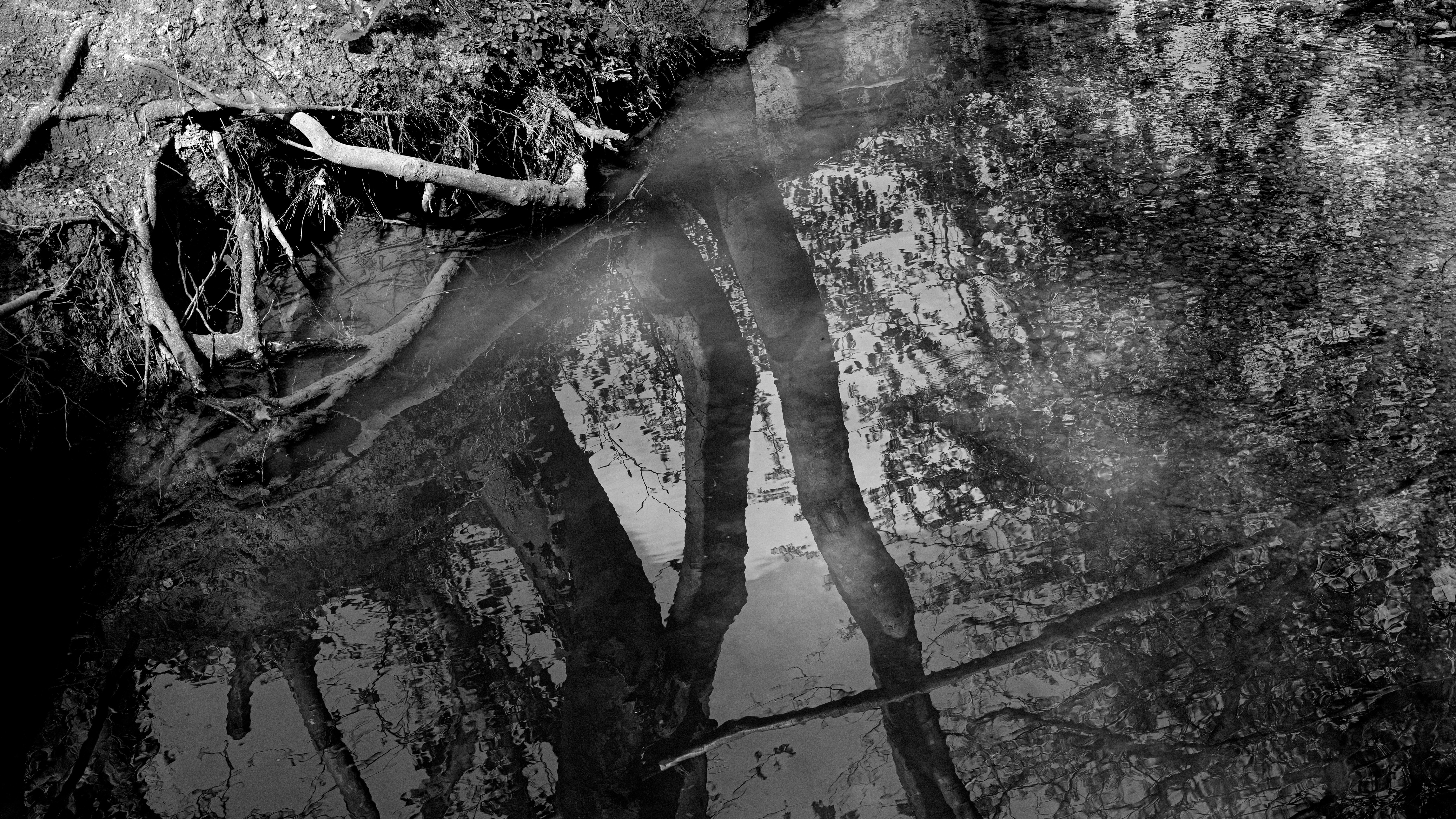 Rahil Nabiollahi Ghahfarkhi | Photography 4