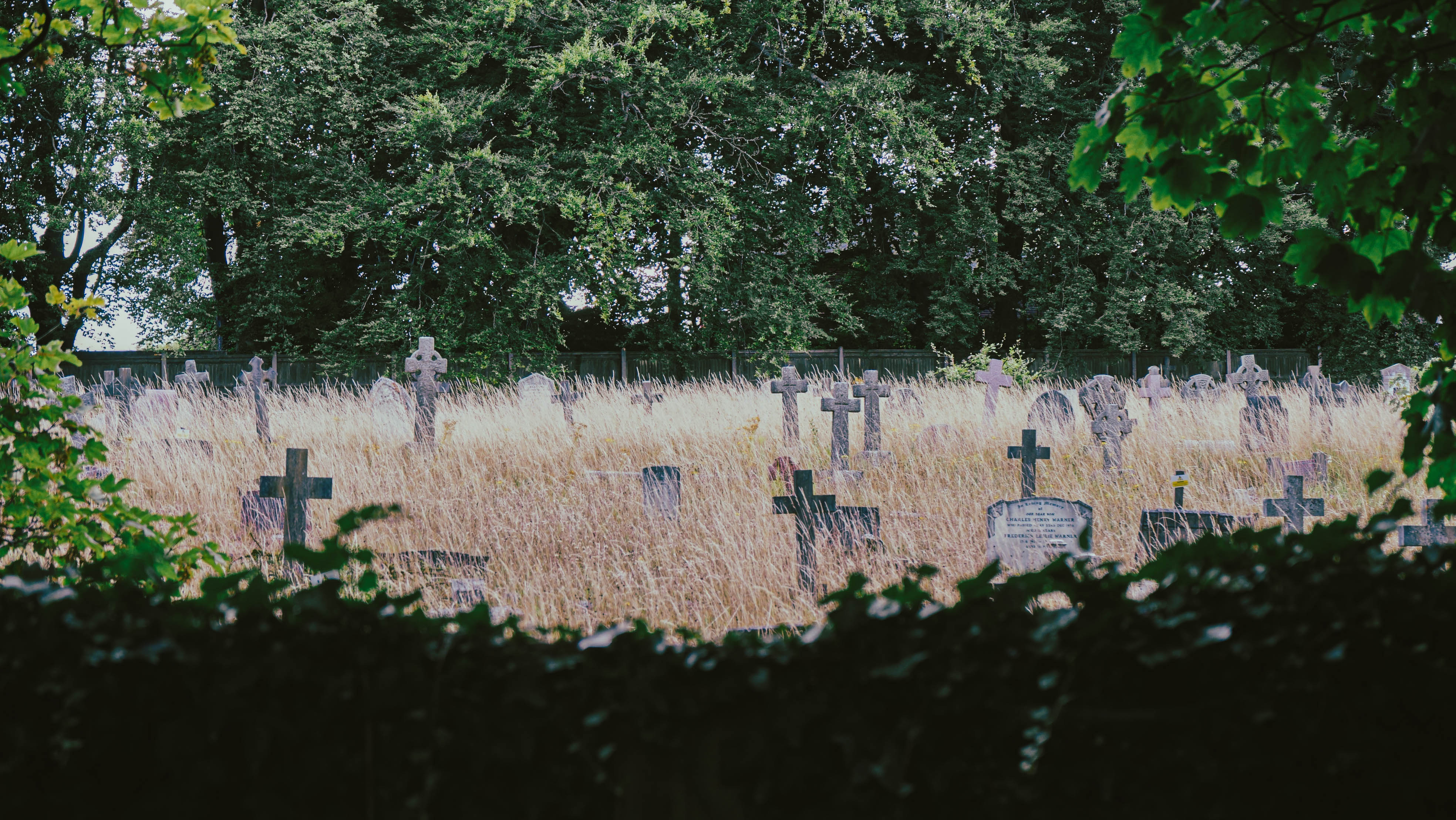 Rahil Nabiollahi Ghahfarkhi | Photography 2