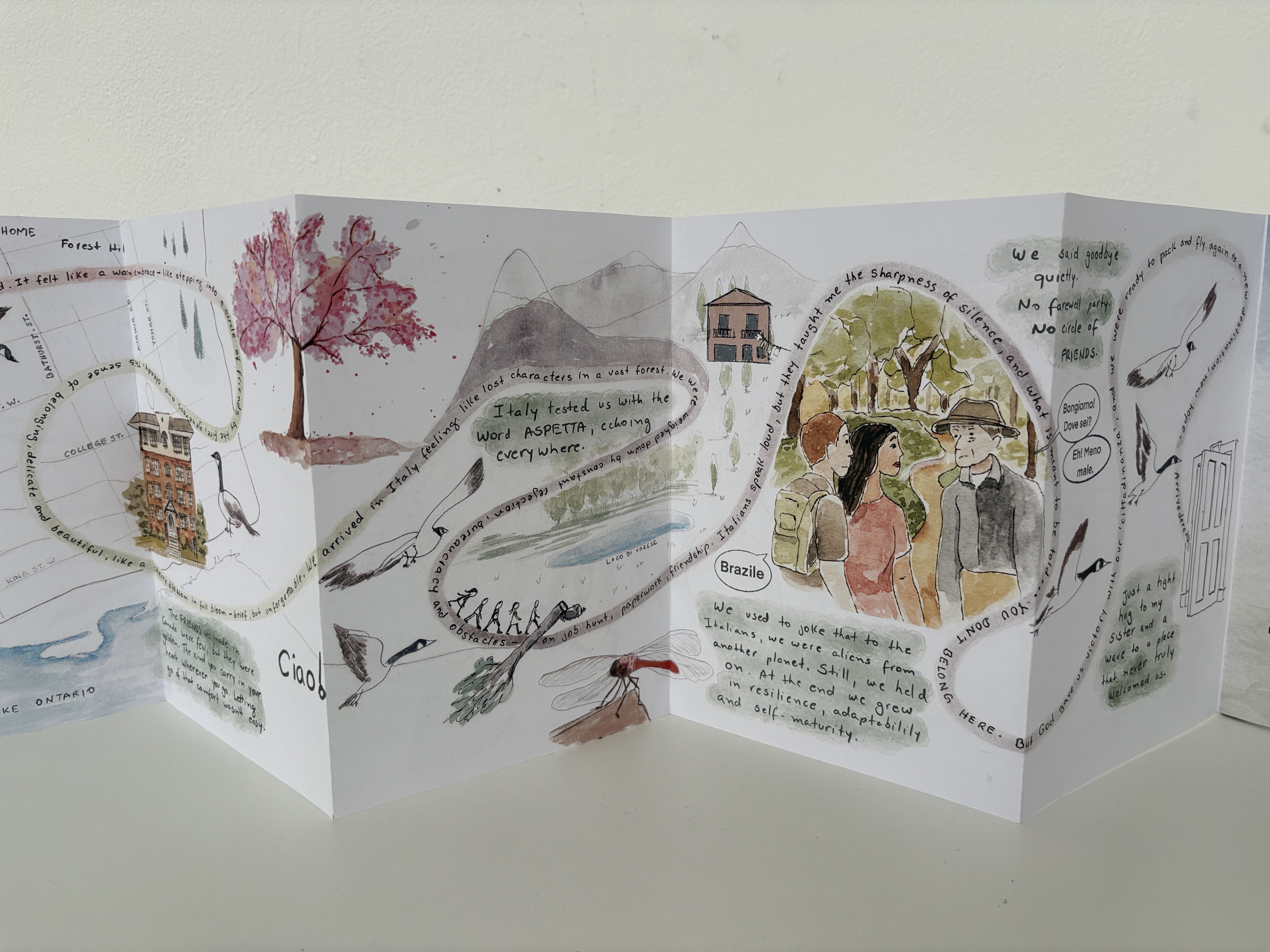 Monica Maestrelo de Oliveira | Illustration 3