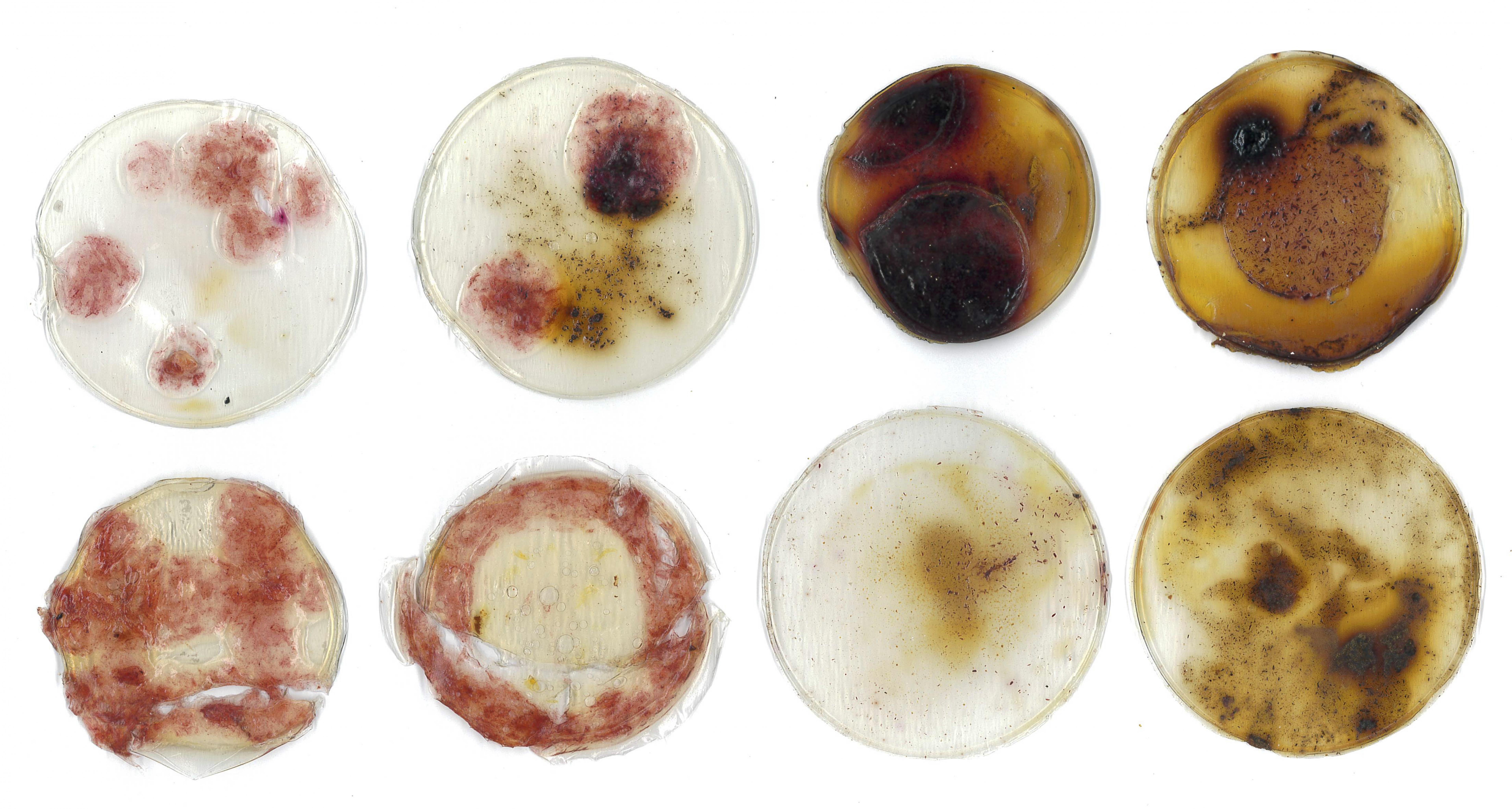 Anchisa Kaewjoey | Fashion & Textiles 1