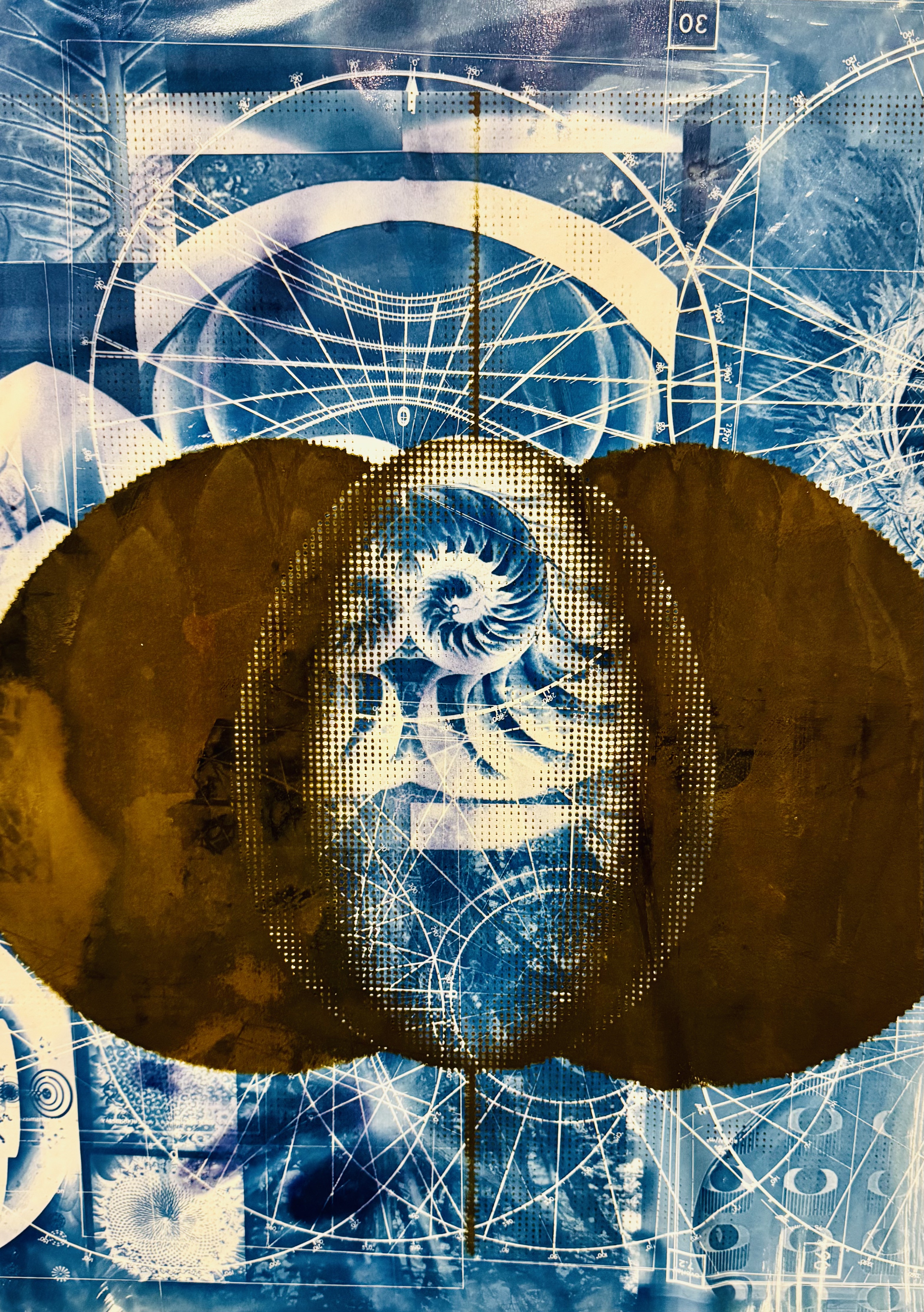 Sonia Maclean | Fine Art 11