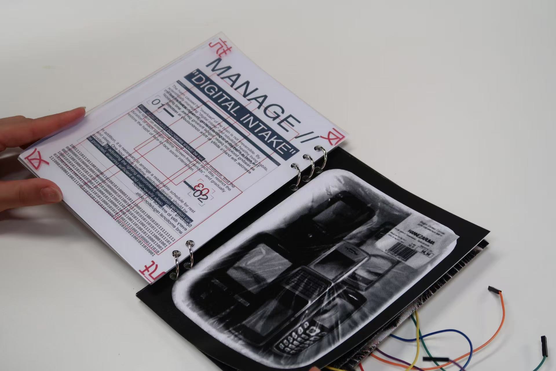 Zhaorui Yi | Graphic Design 2