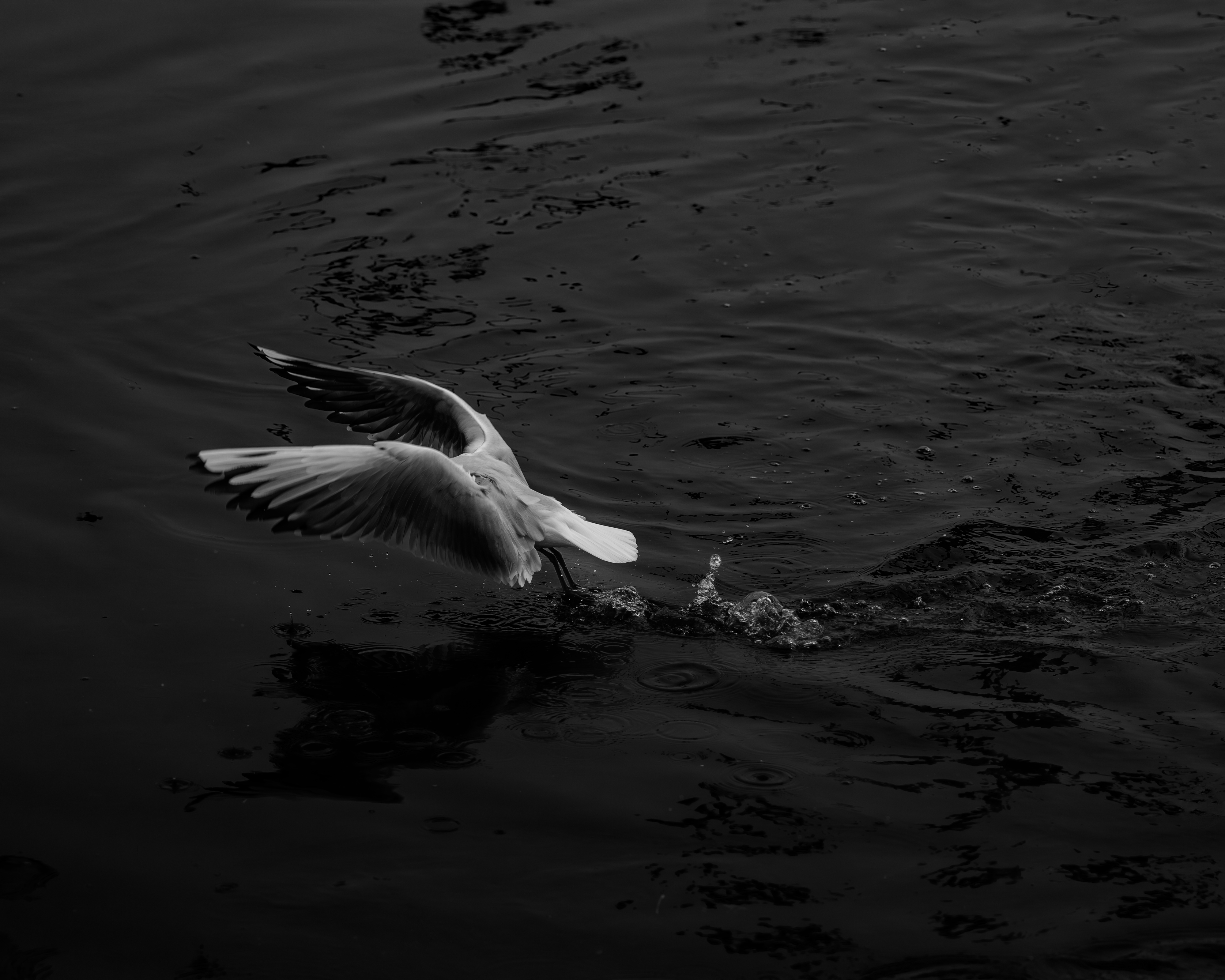 Ayush Kumar Singh | Photography 4