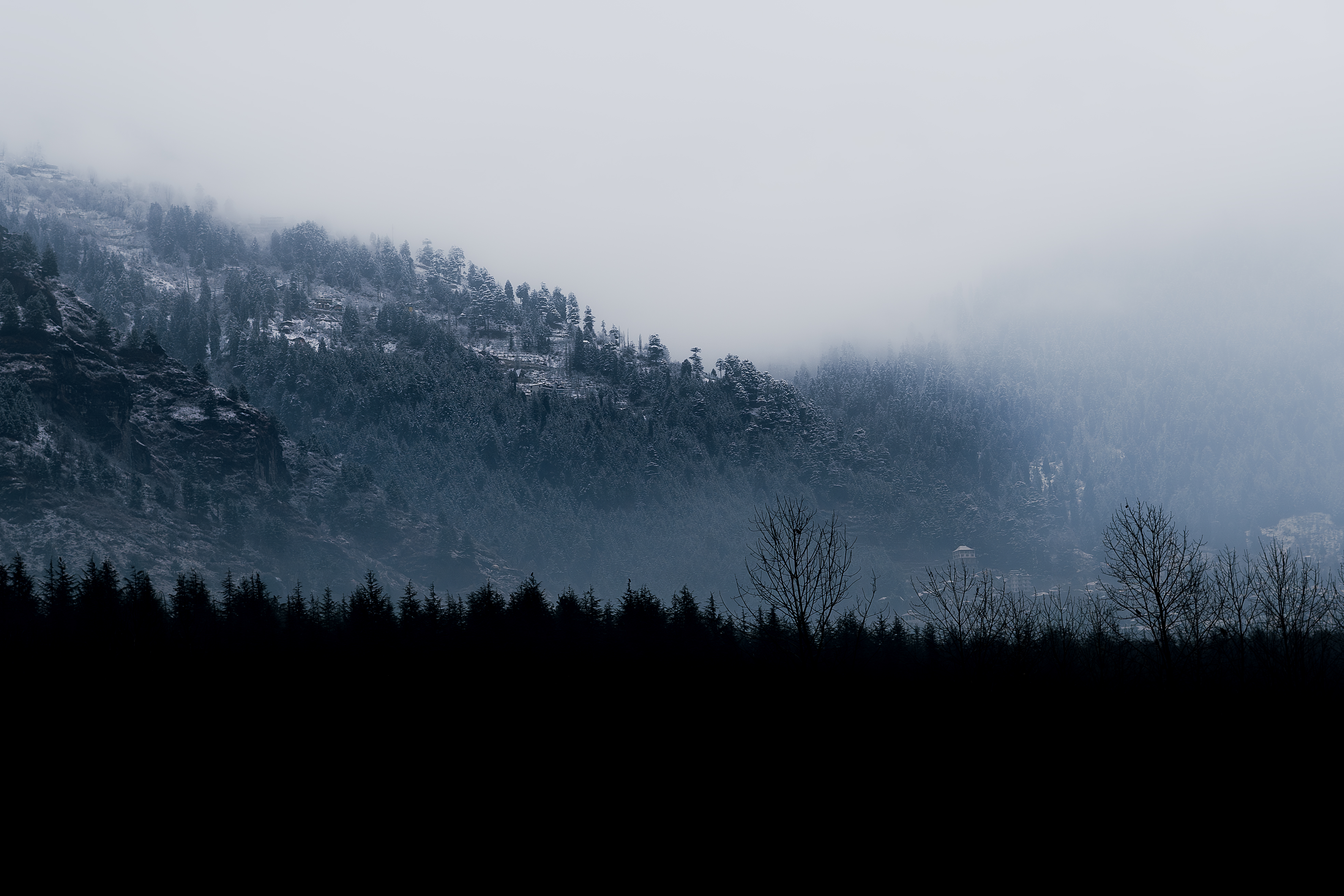 Ayush Kumar Singh | Photography