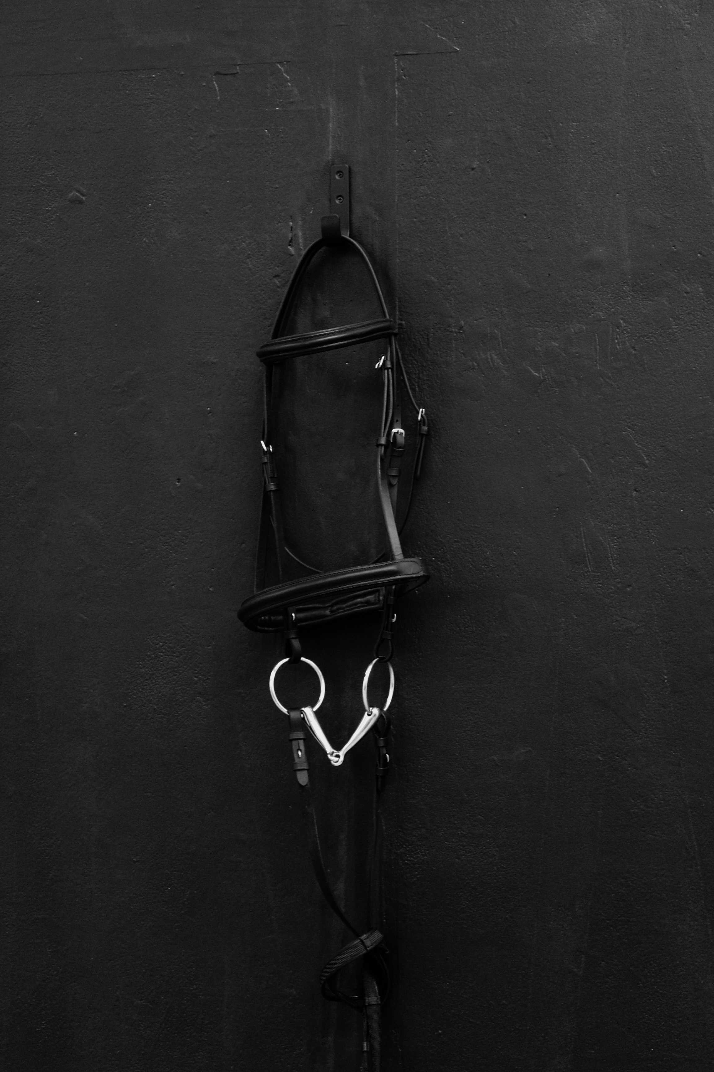 Madi de Laszlo | Fine Art 5