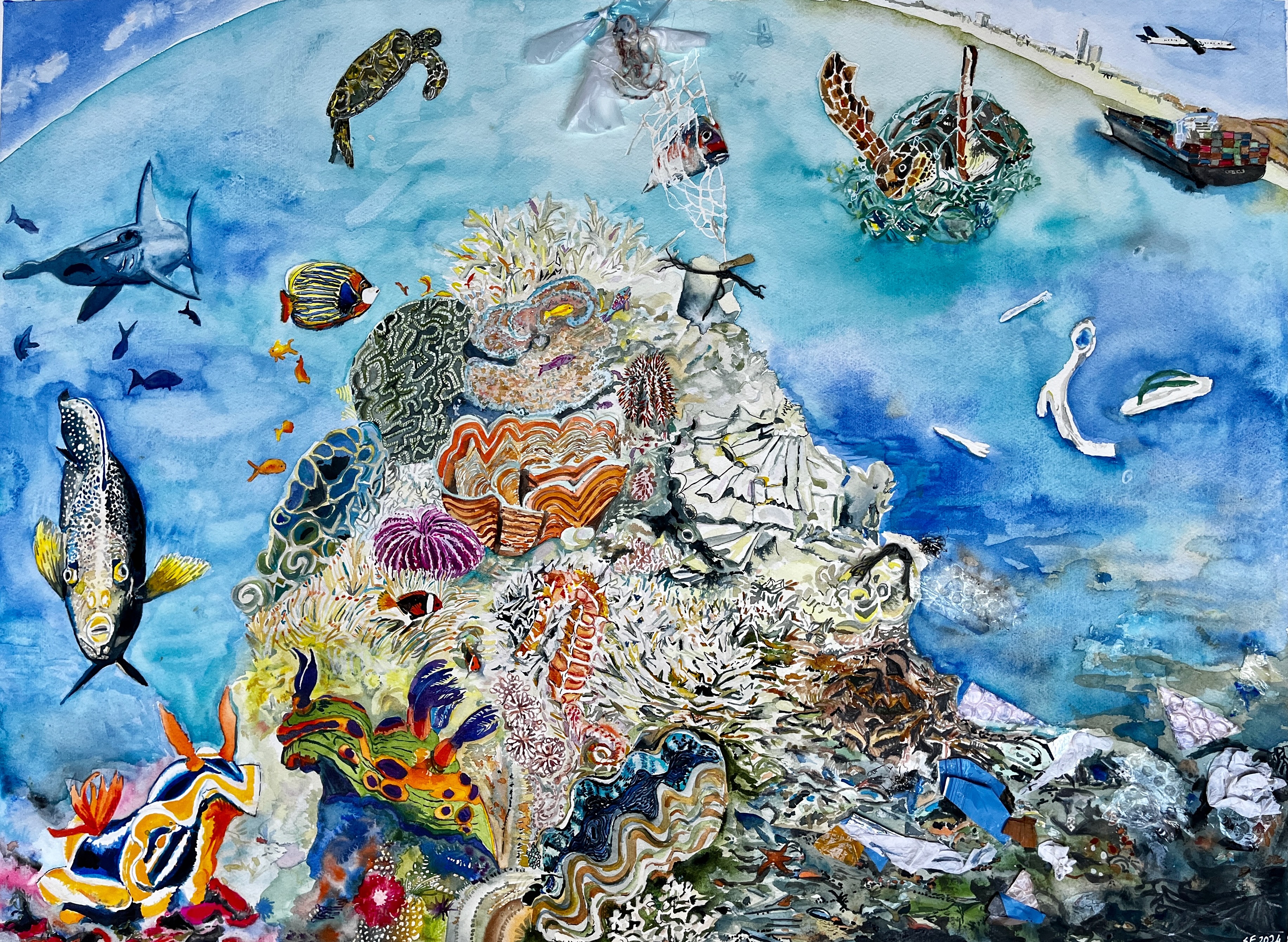 Sally Ferguson | Fine Art