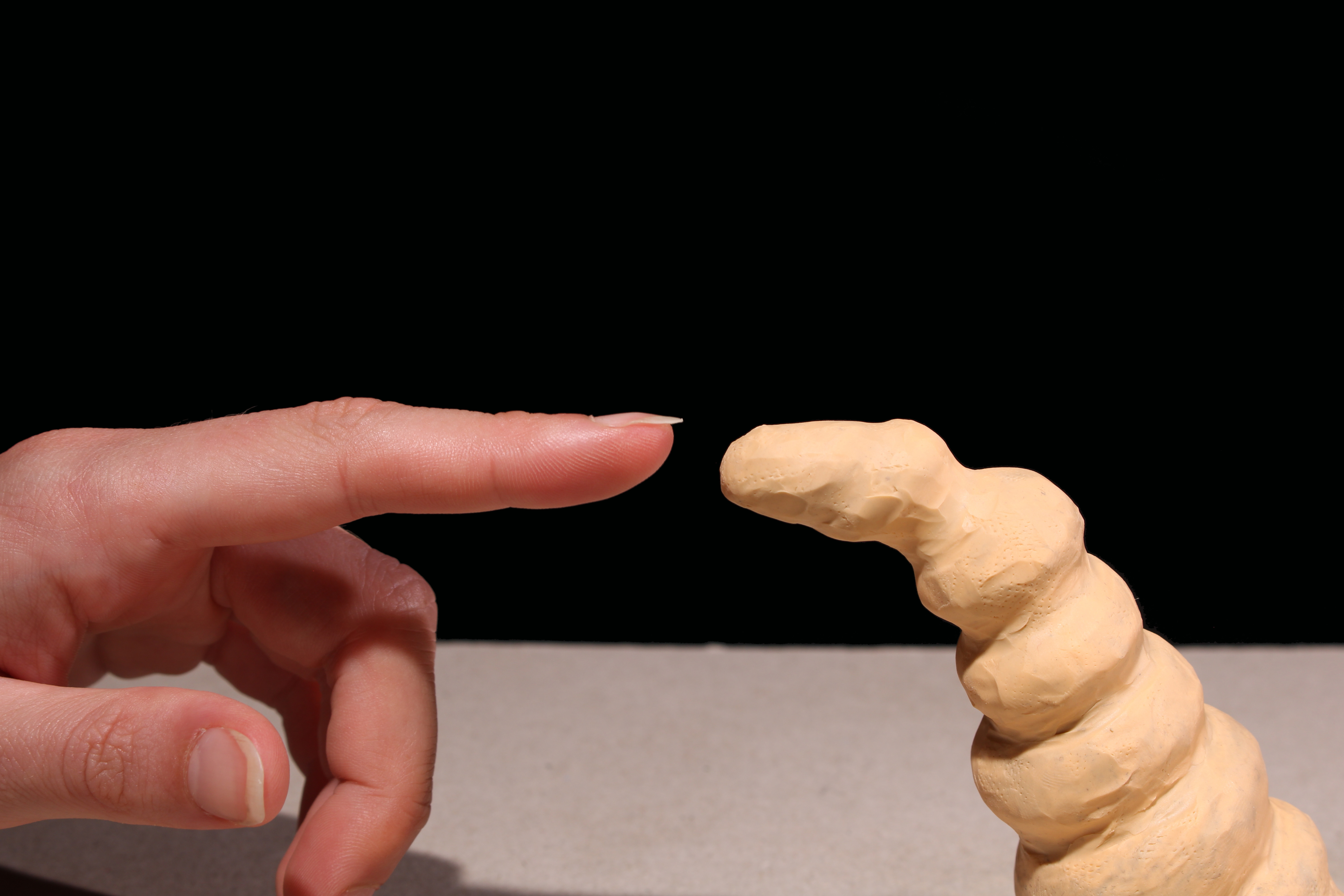 Emily Sanderson | Animation 5