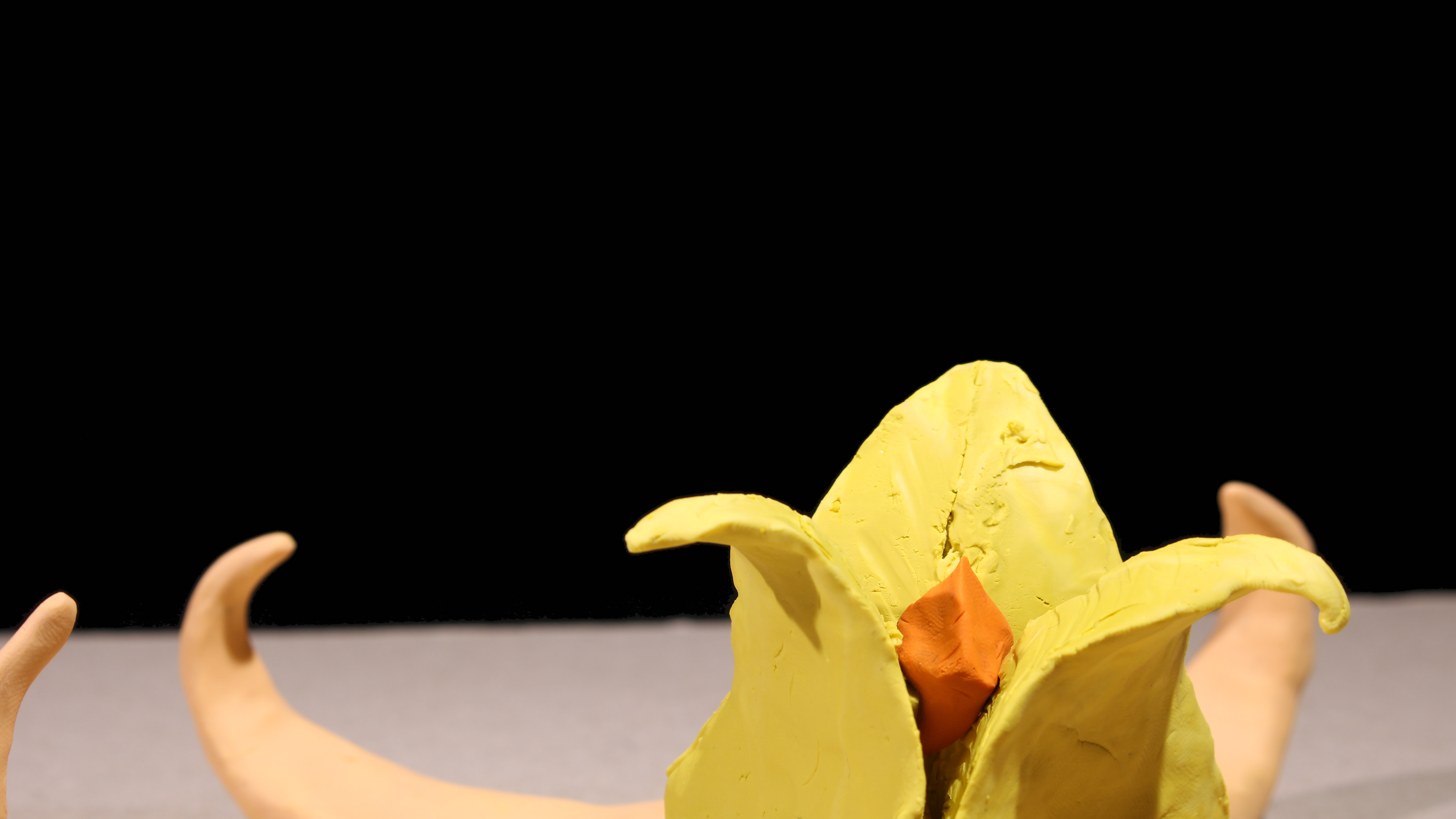 Emily Sanderson | Animation